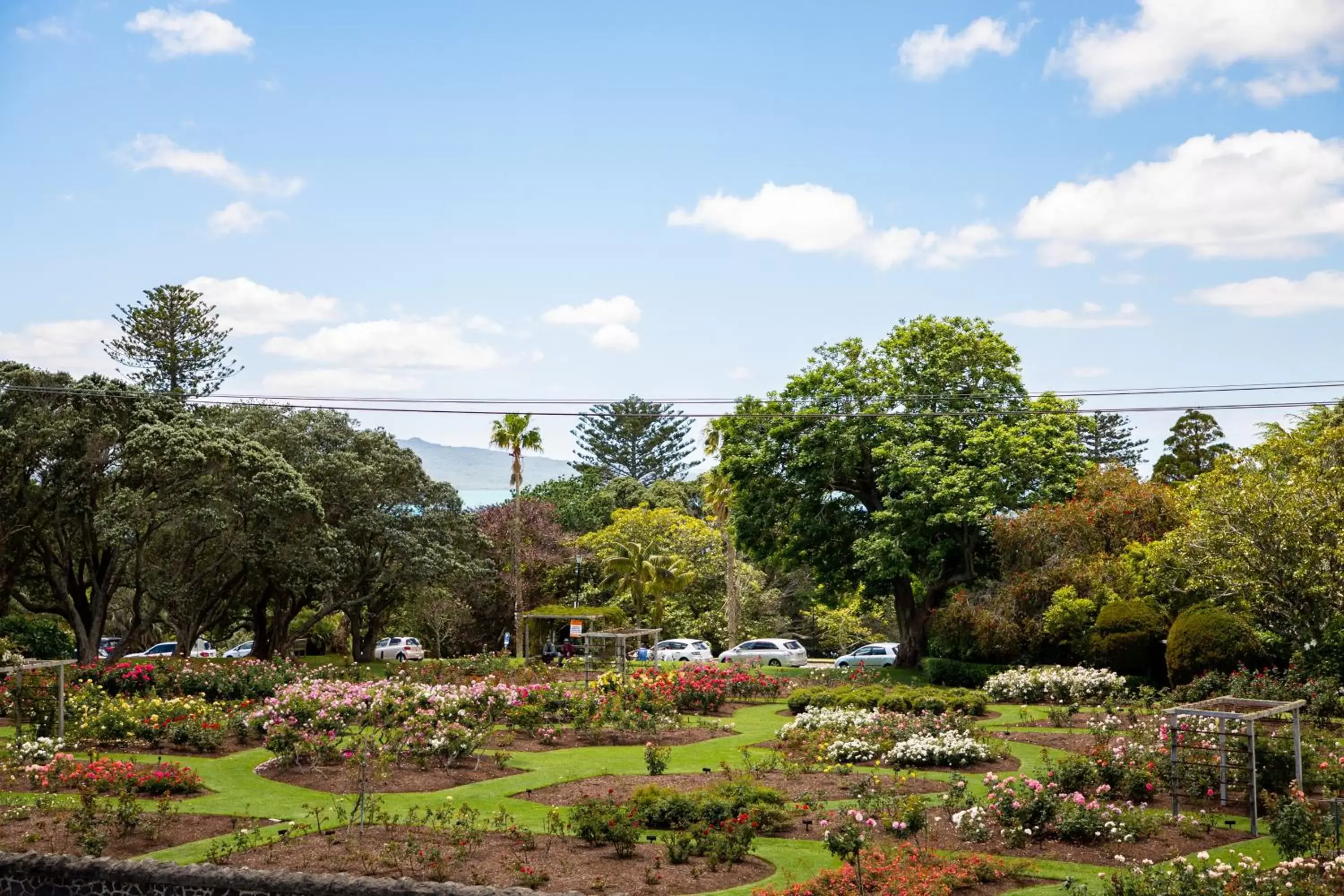 Garden view in Auckland Rose Park Hotel