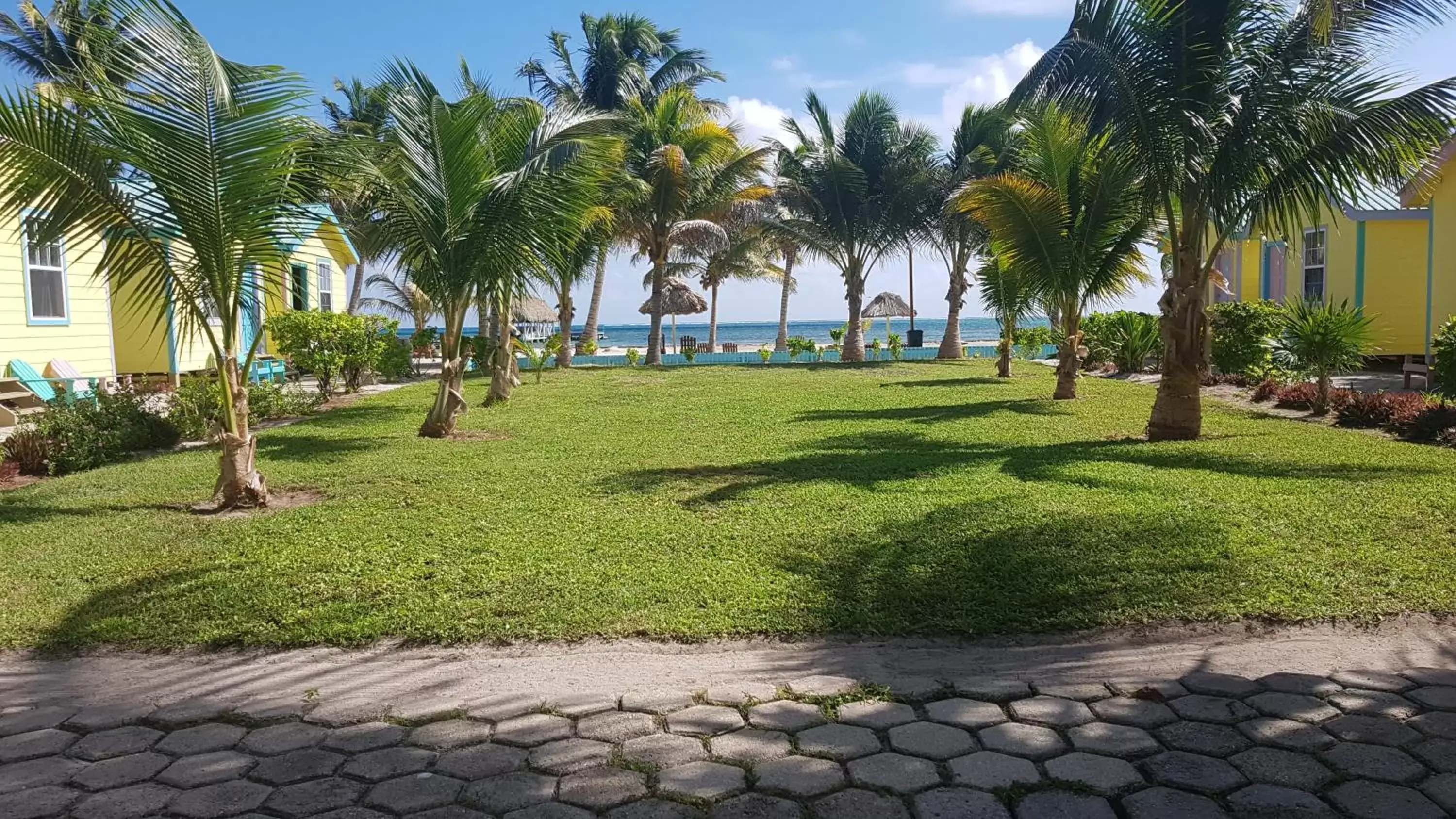 Garden, Swimming Pool in Royal Caribbean Resort