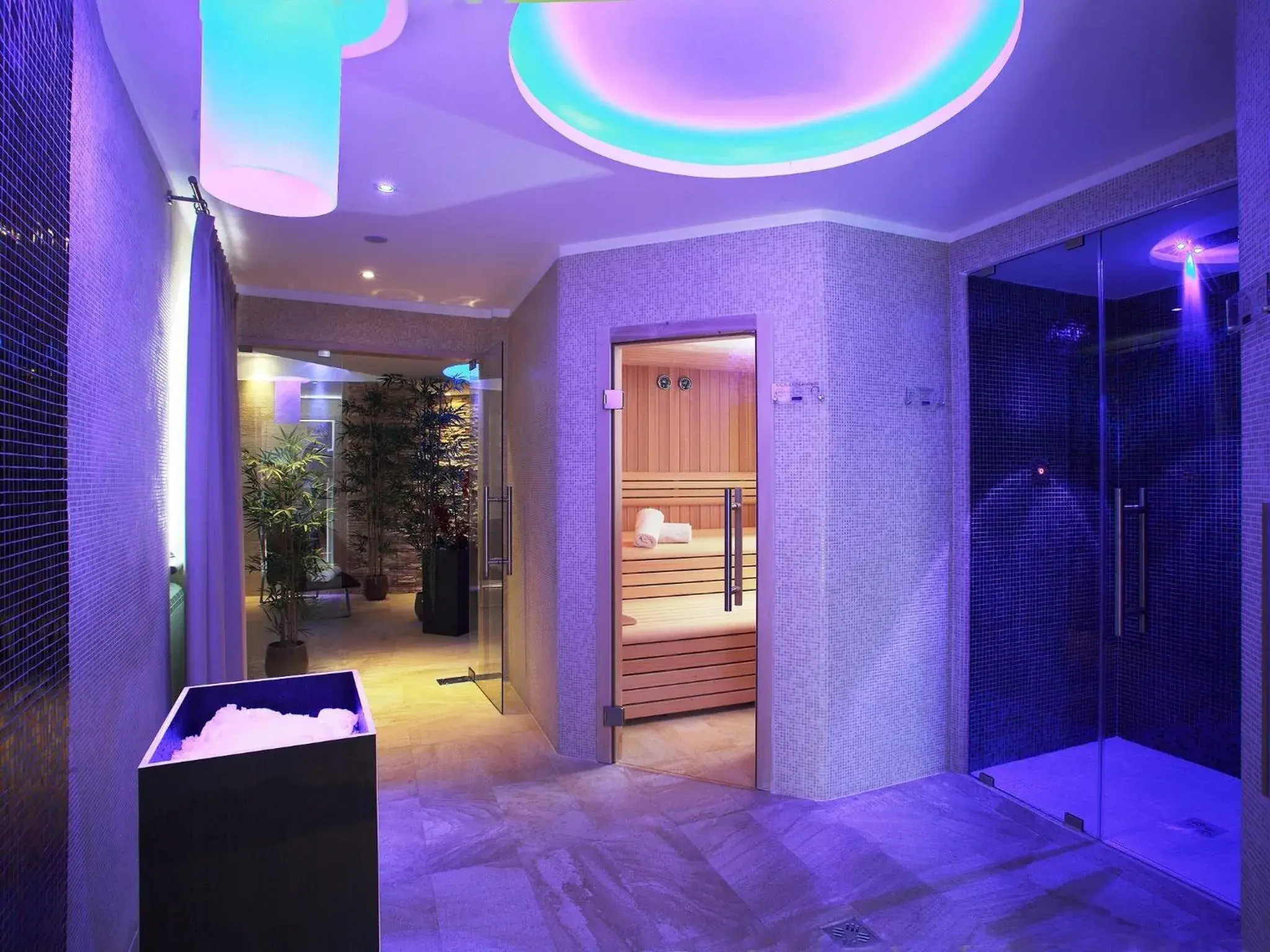 Sauna in Hotel Terme Royal Palm