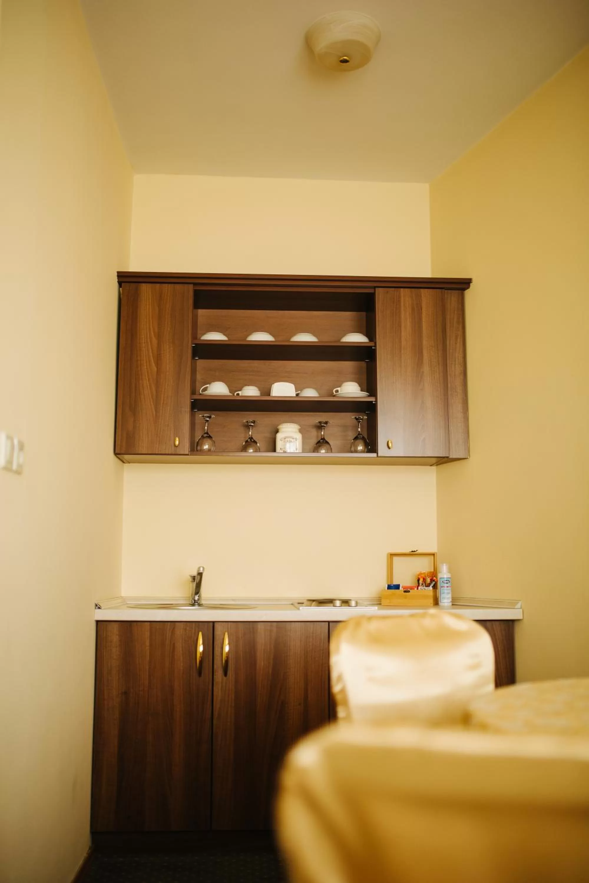 Kitchen or kitchenette in Garni Hotel Andric