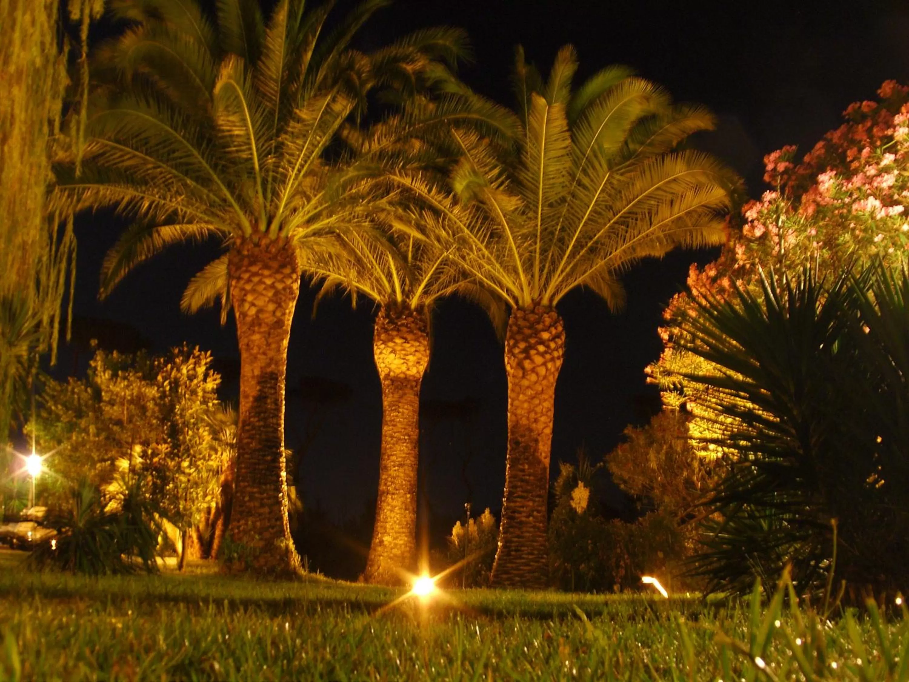 Night in Hotel Parco Dei Principi