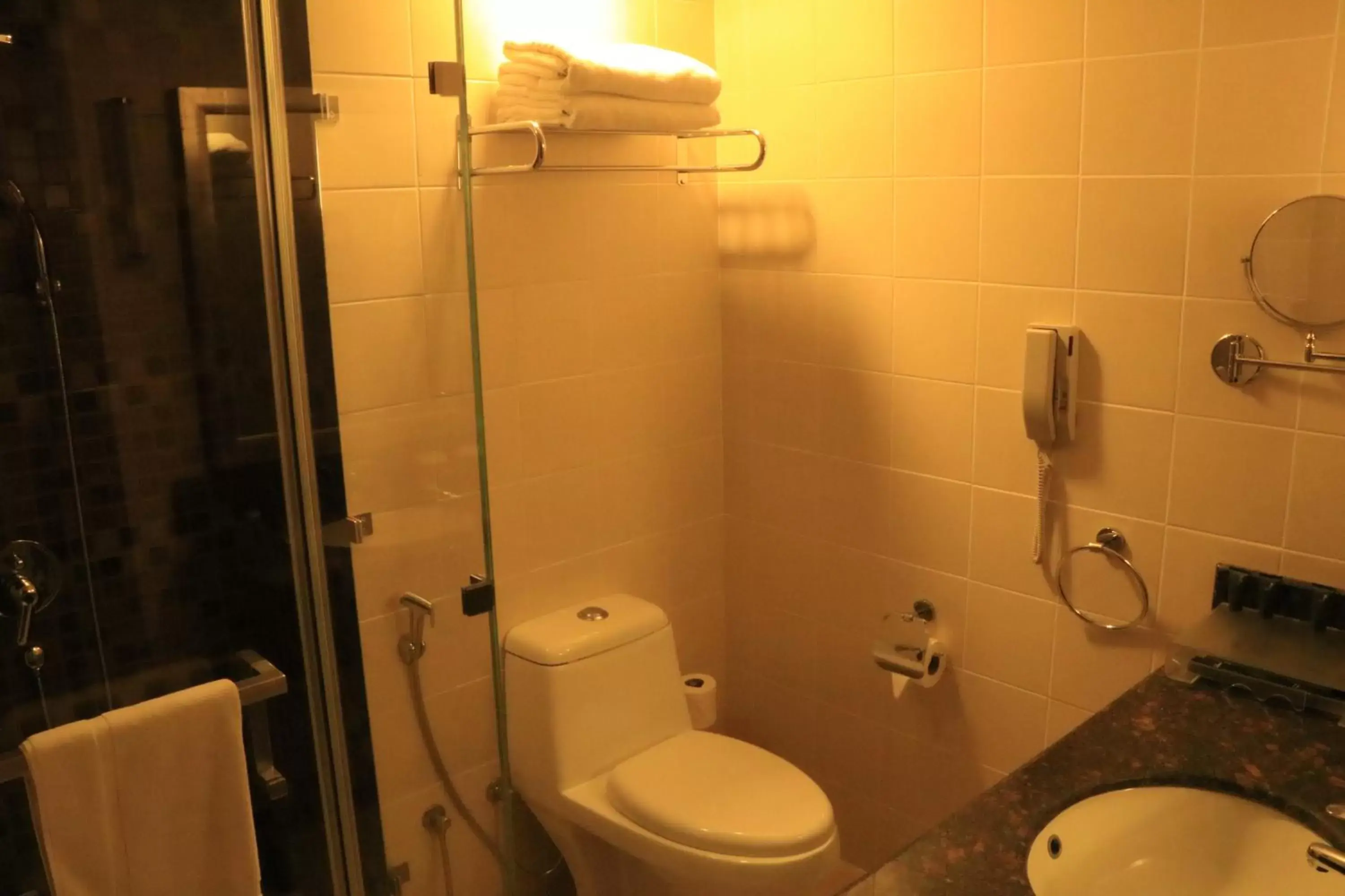 Toilet, Bathroom in Best Western Premier Muscat