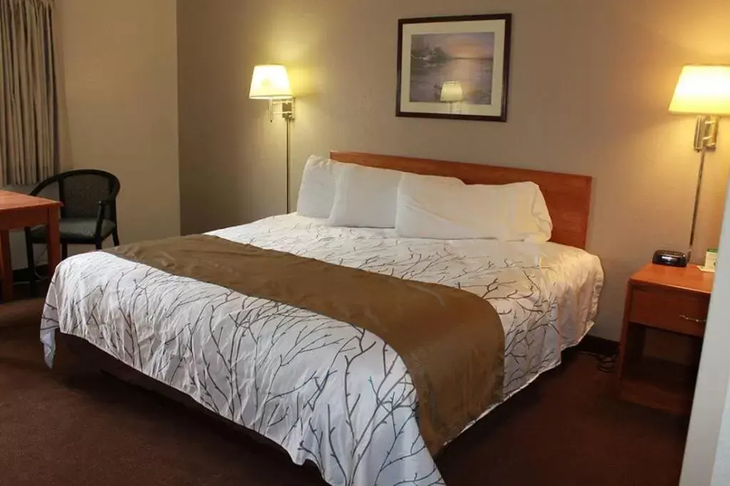 Bed in Edmore Inn