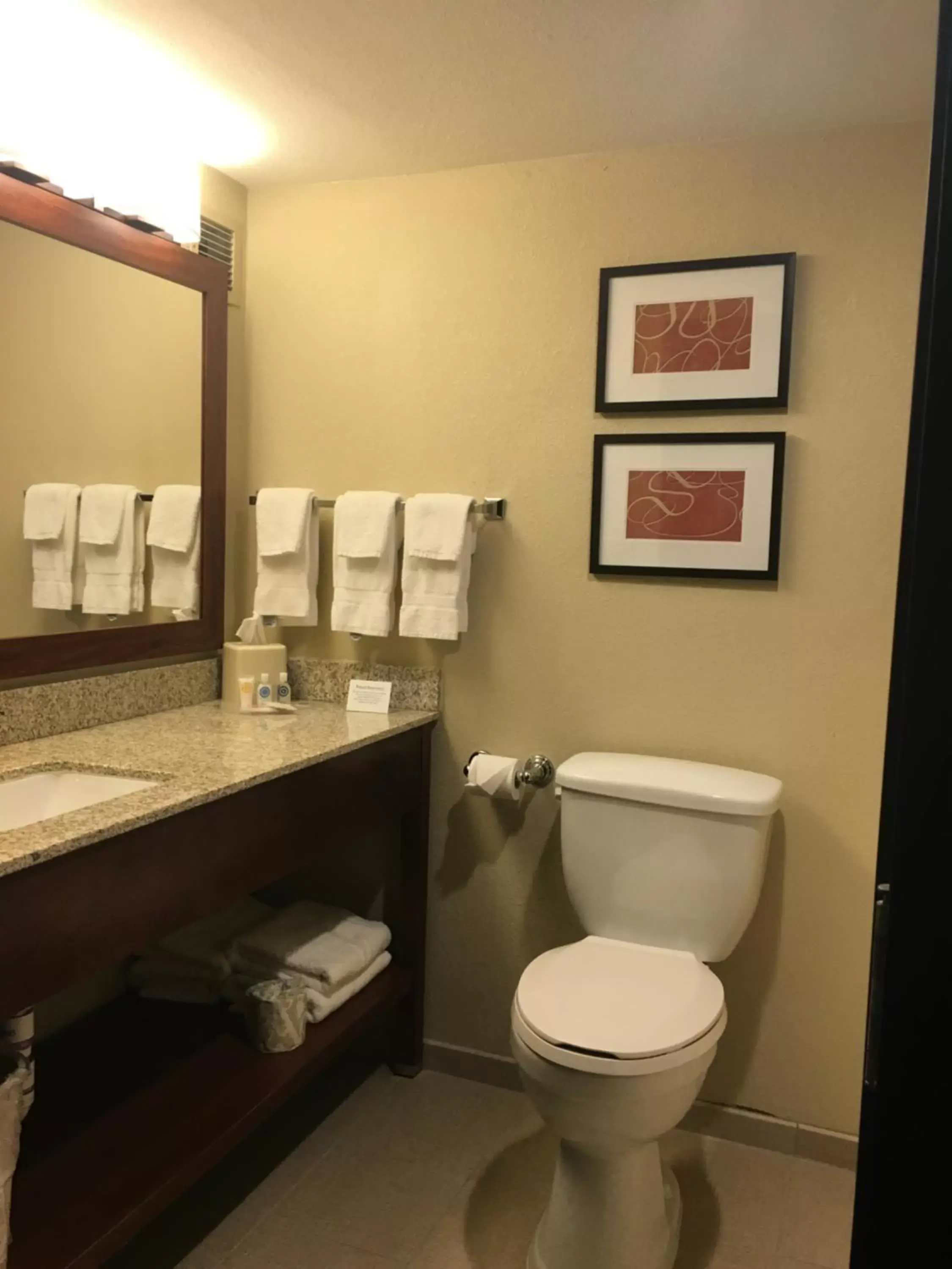 Guests, Bathroom in Comfort Suites Near Potomac Mills
