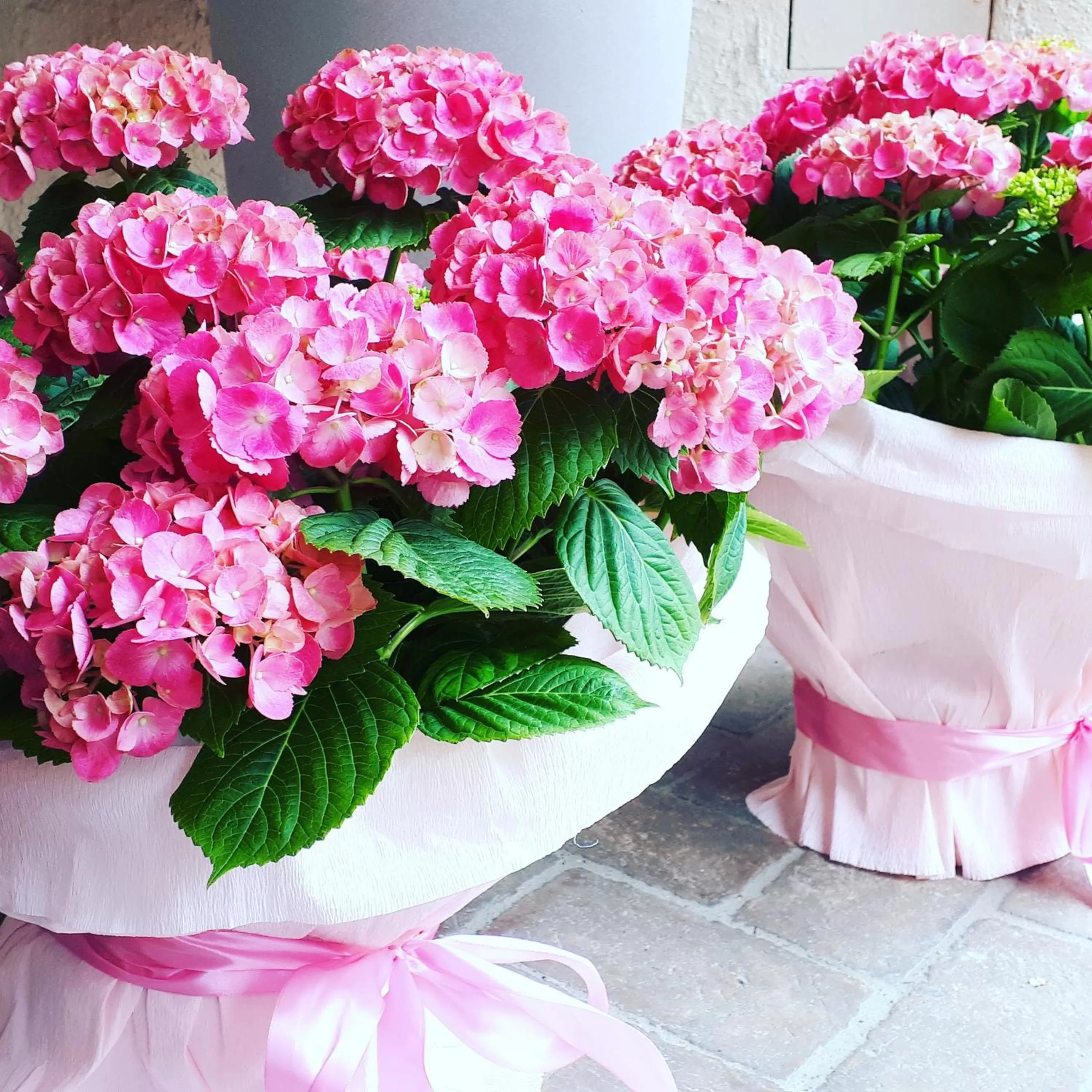 Decorative detail in Bike&Boat Argentario Hotel