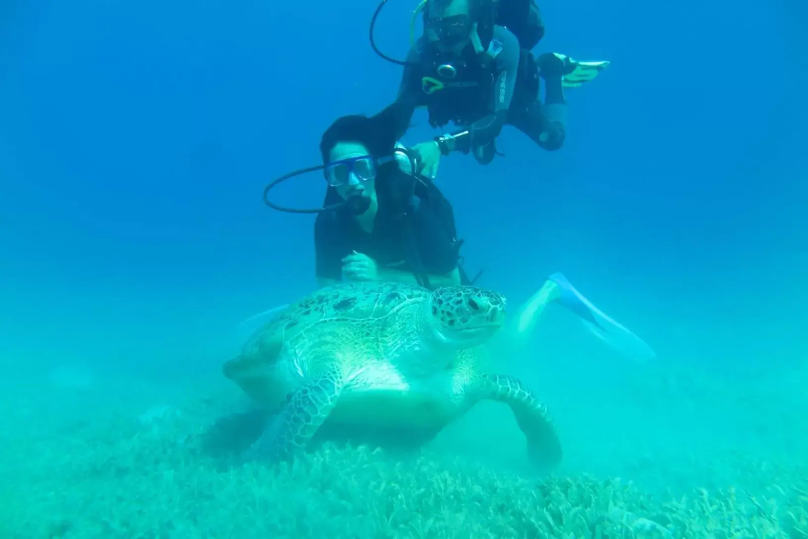 Diving, Snorkeling/Diving in Jasmine Palace Resort