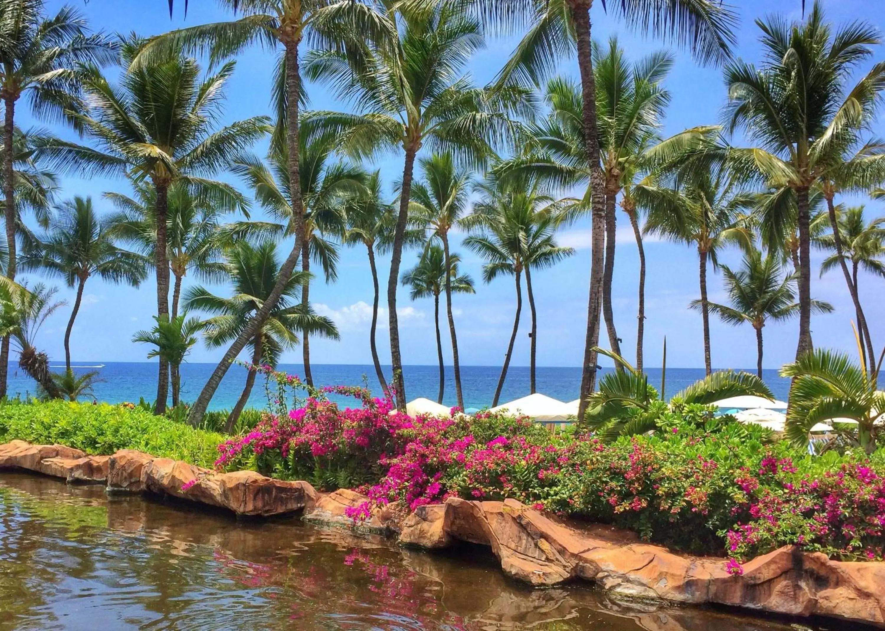 Property building in Grand Wailea Resort Hotel & Spa, A Waldorf Astoria Resort