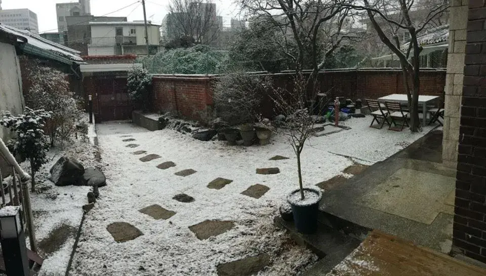 Garden, Winter in Hans House