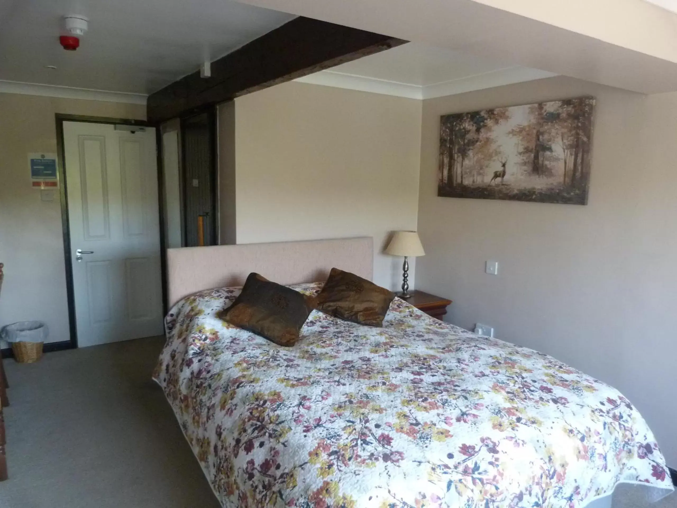 Bed in Cameley Lodge - Self Catering