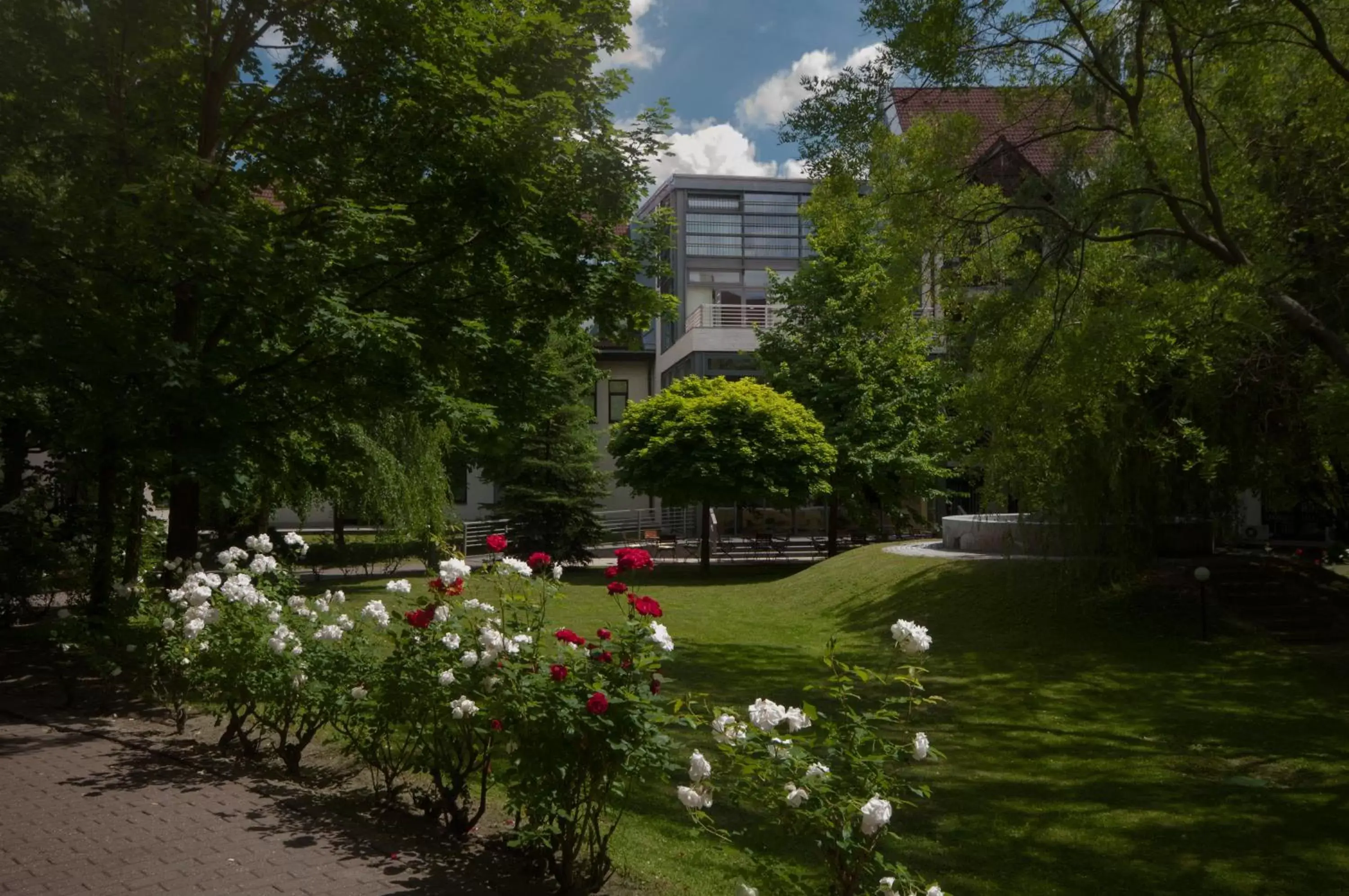 Garden in Rubin Wellness & Conference Hotel