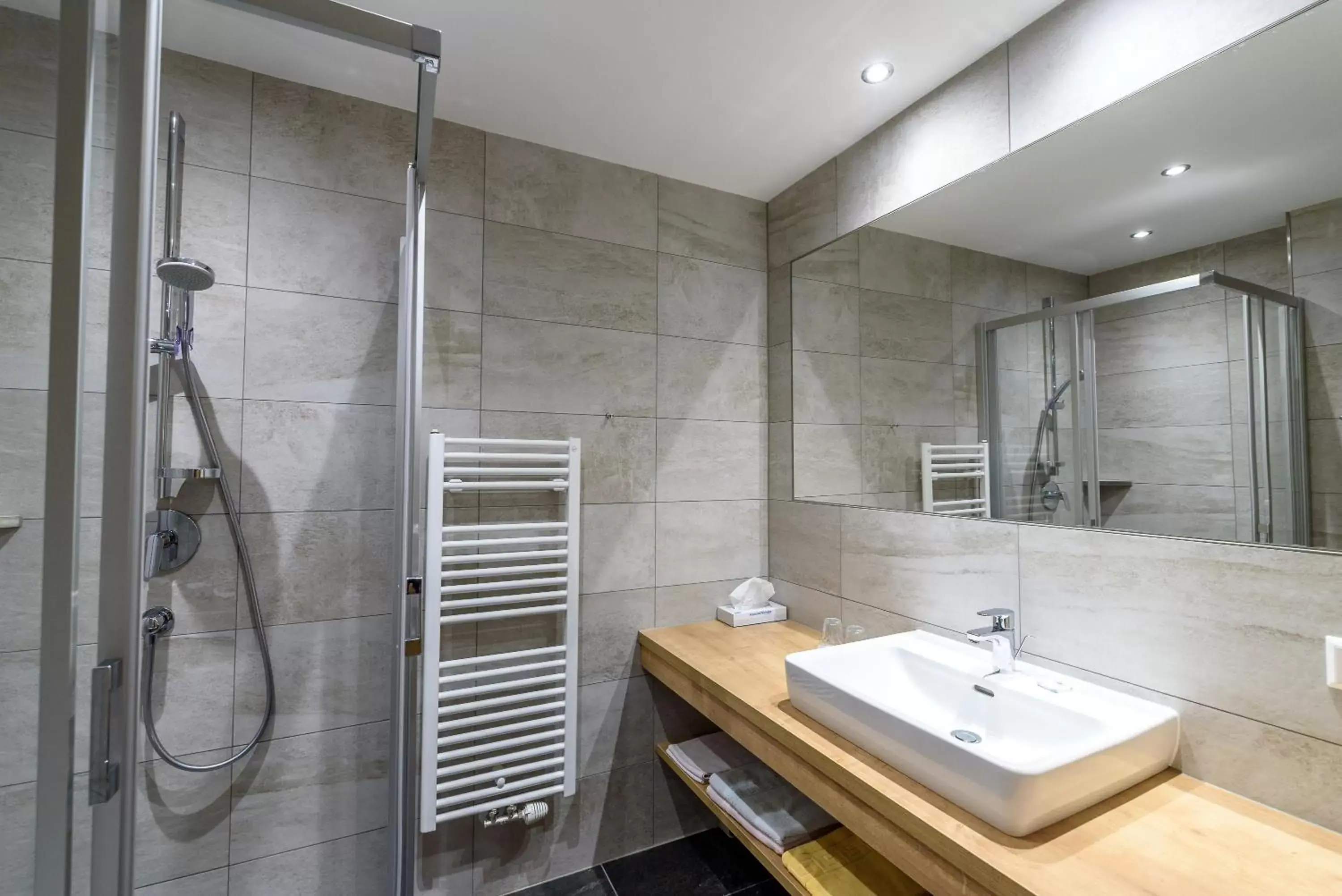 Shower, Bathroom in Hotel & Gasthof Taferne