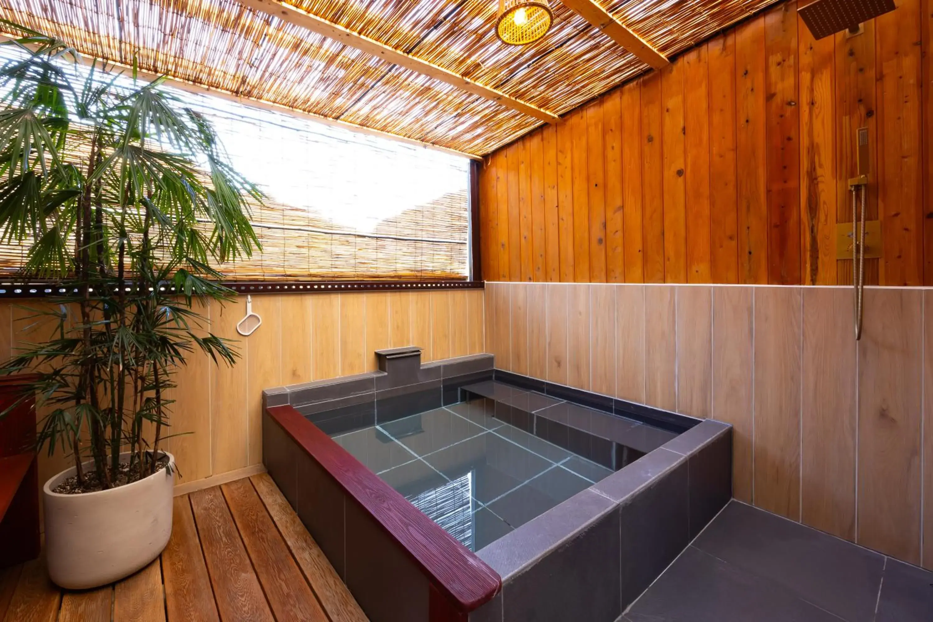 Hot Spring Bath, Swimming Pool in HOTEL HIMALAYA SEA