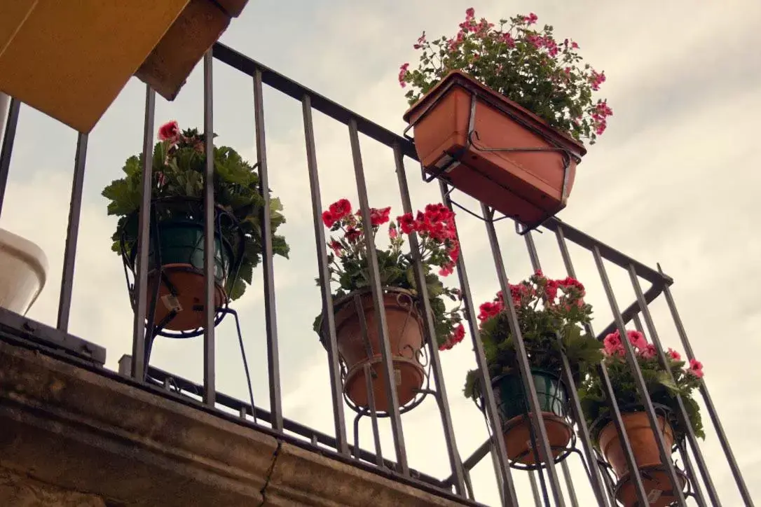 Balcony/Terrace in Residenza Donnafugata B&B