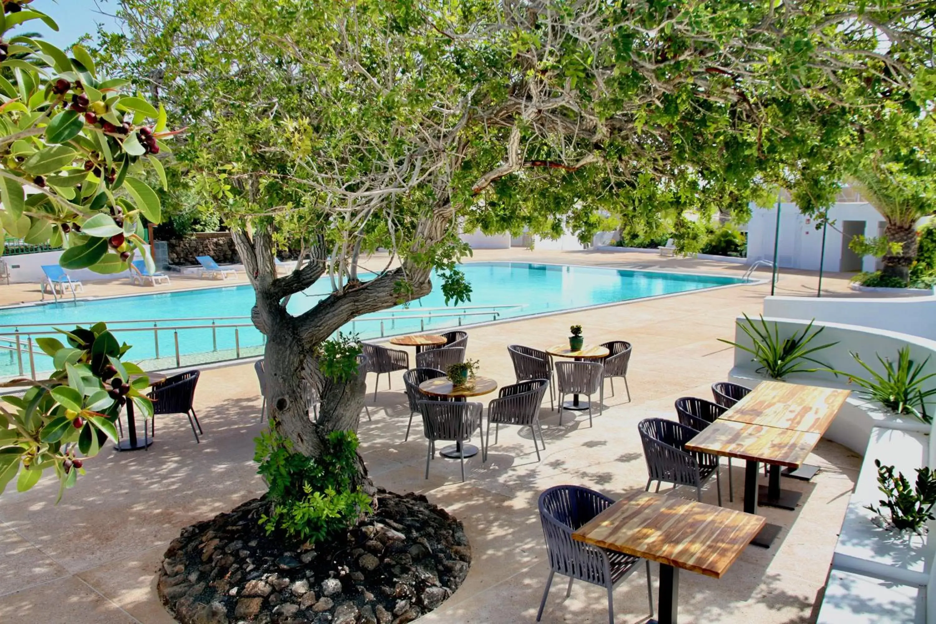 Restaurant/places to eat, Swimming Pool in Casas Heddy, Well-being Resort