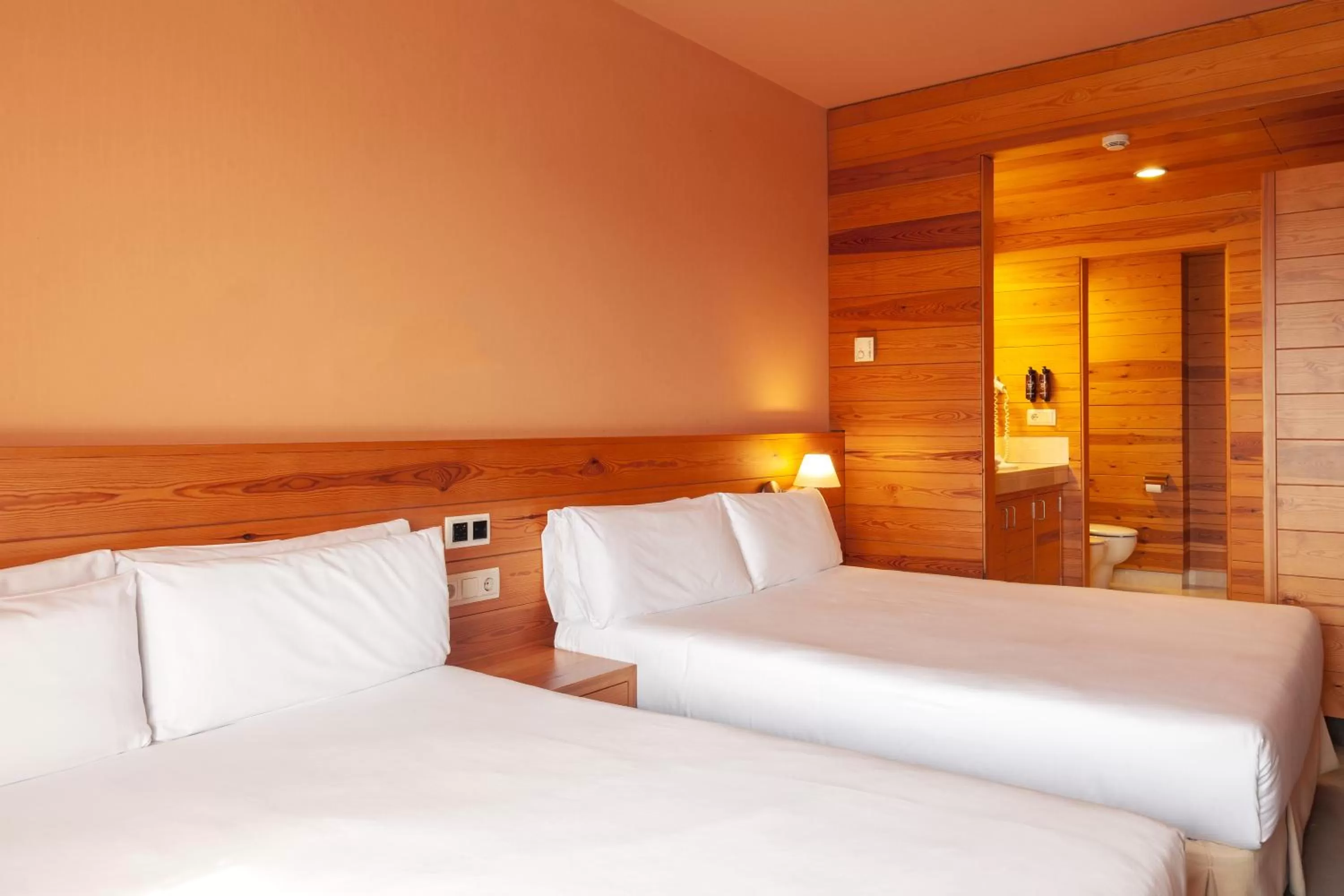 Photo of the whole room, Bed in Montanyà