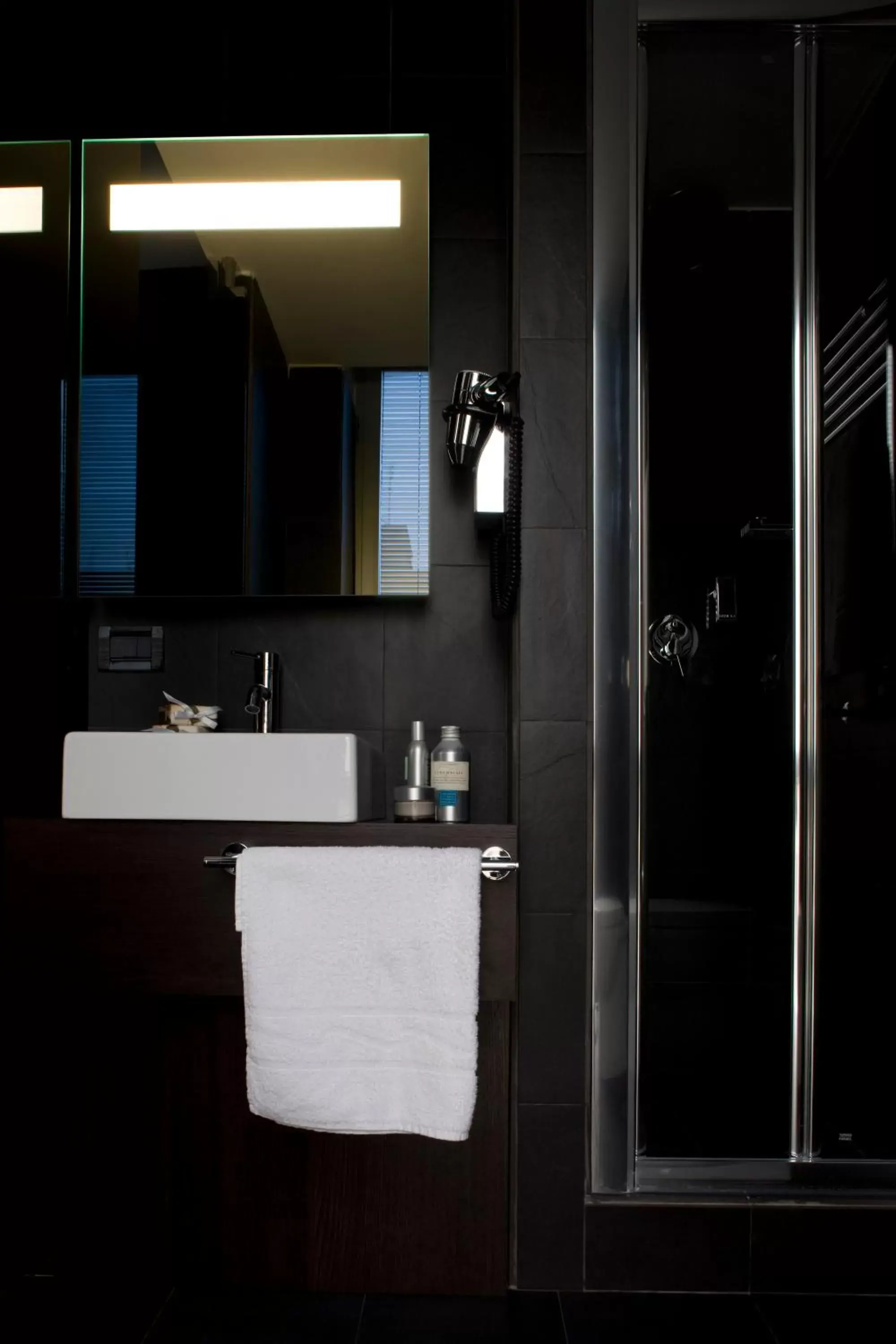Shower, Bathroom in Twentyone Hotel