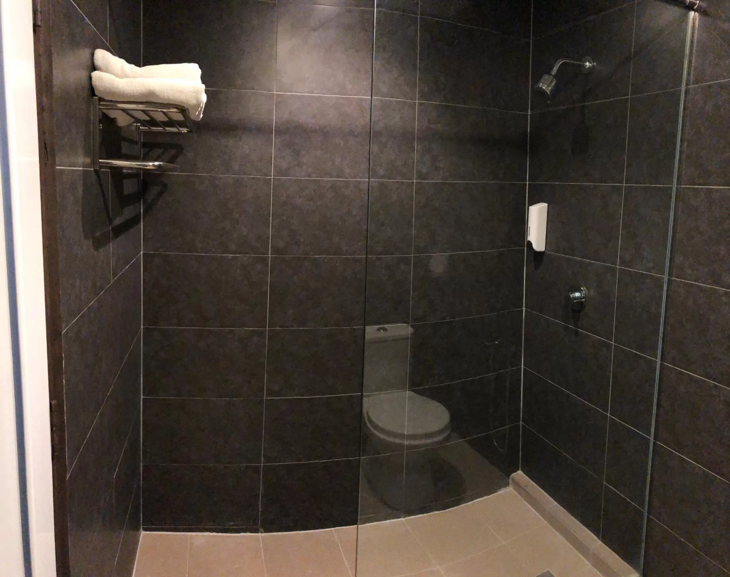 Shower in Hotel Regal Malaysia