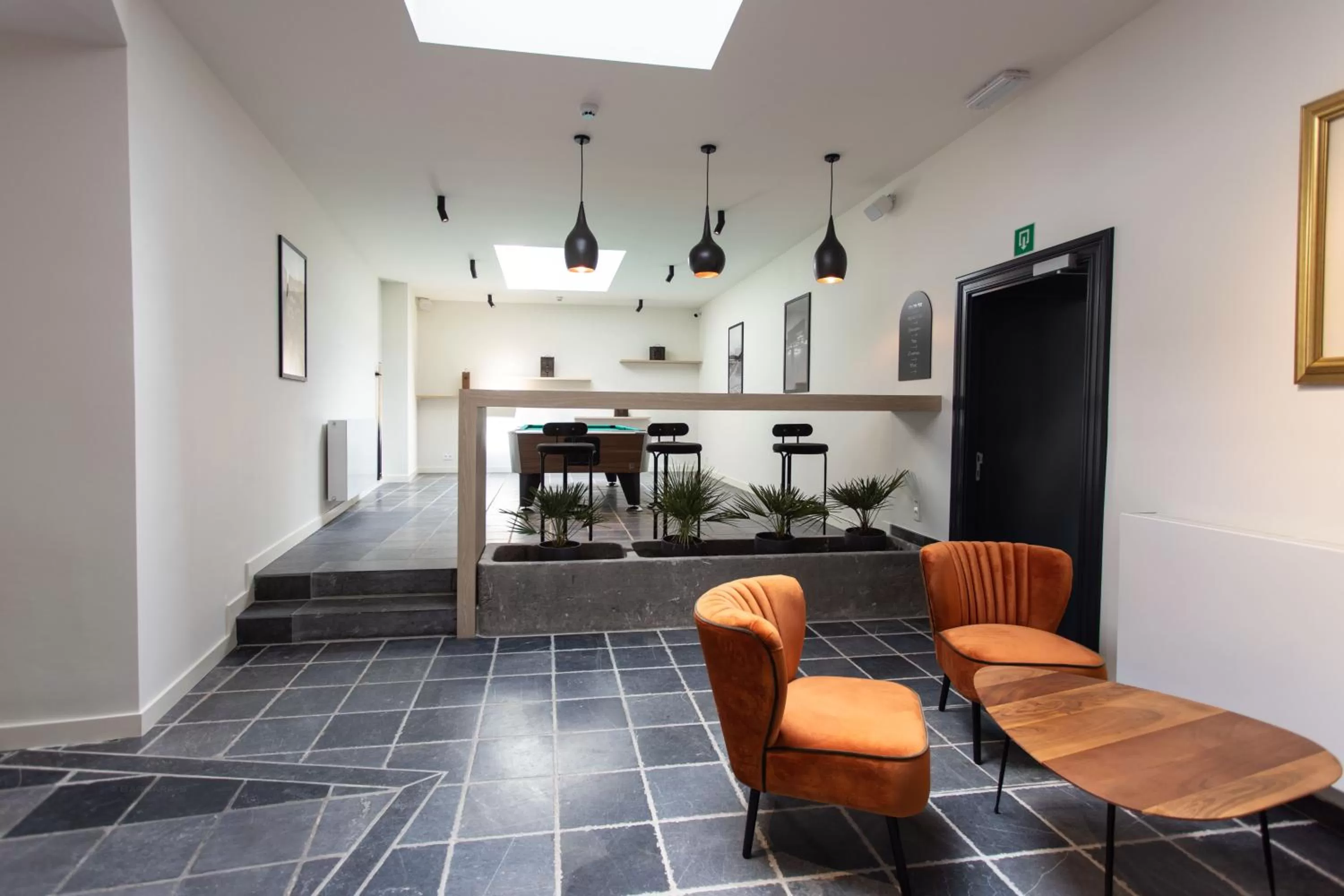 Billiard in Petit-Roannay