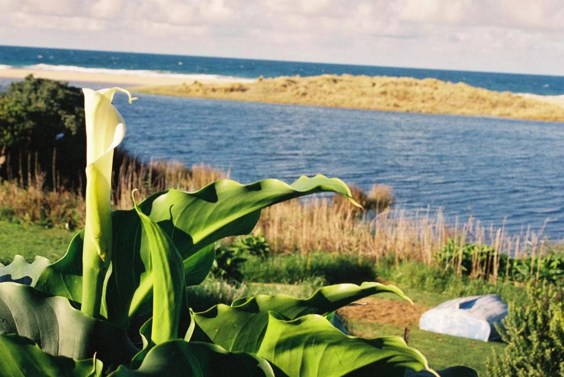 Apollo Bay Guest House