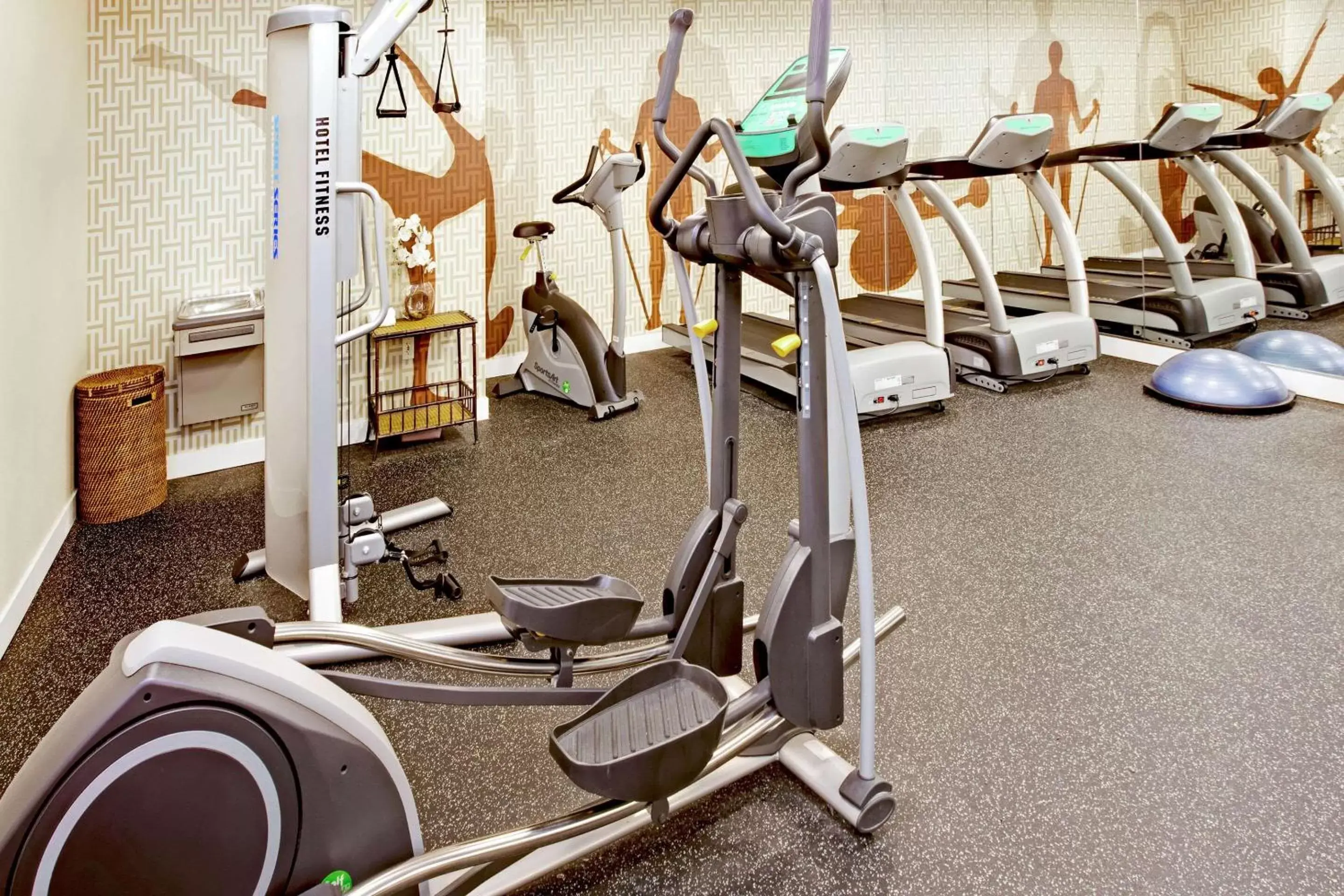Fitness centre/facilities, Fitness Center/Facilities in MainStay Suites Greensboro