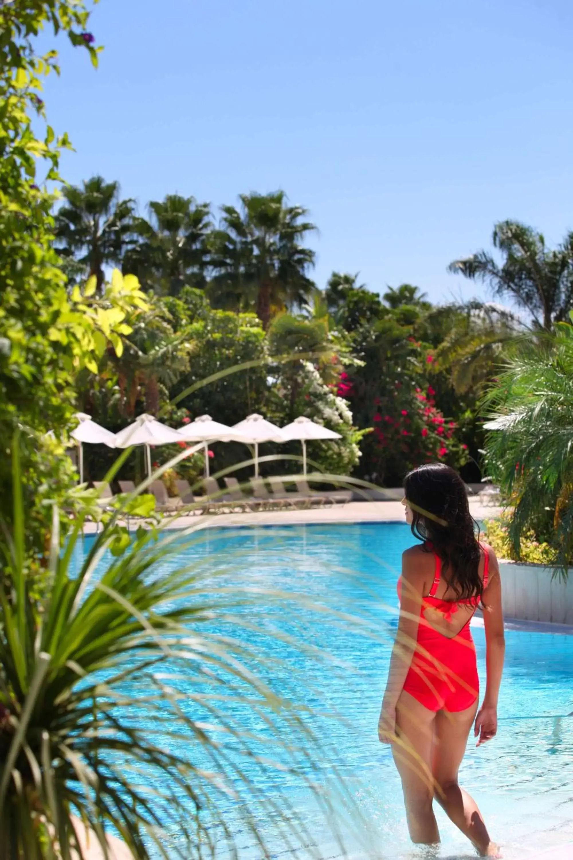 Pool view, Swimming Pool in Hilton Nicosia