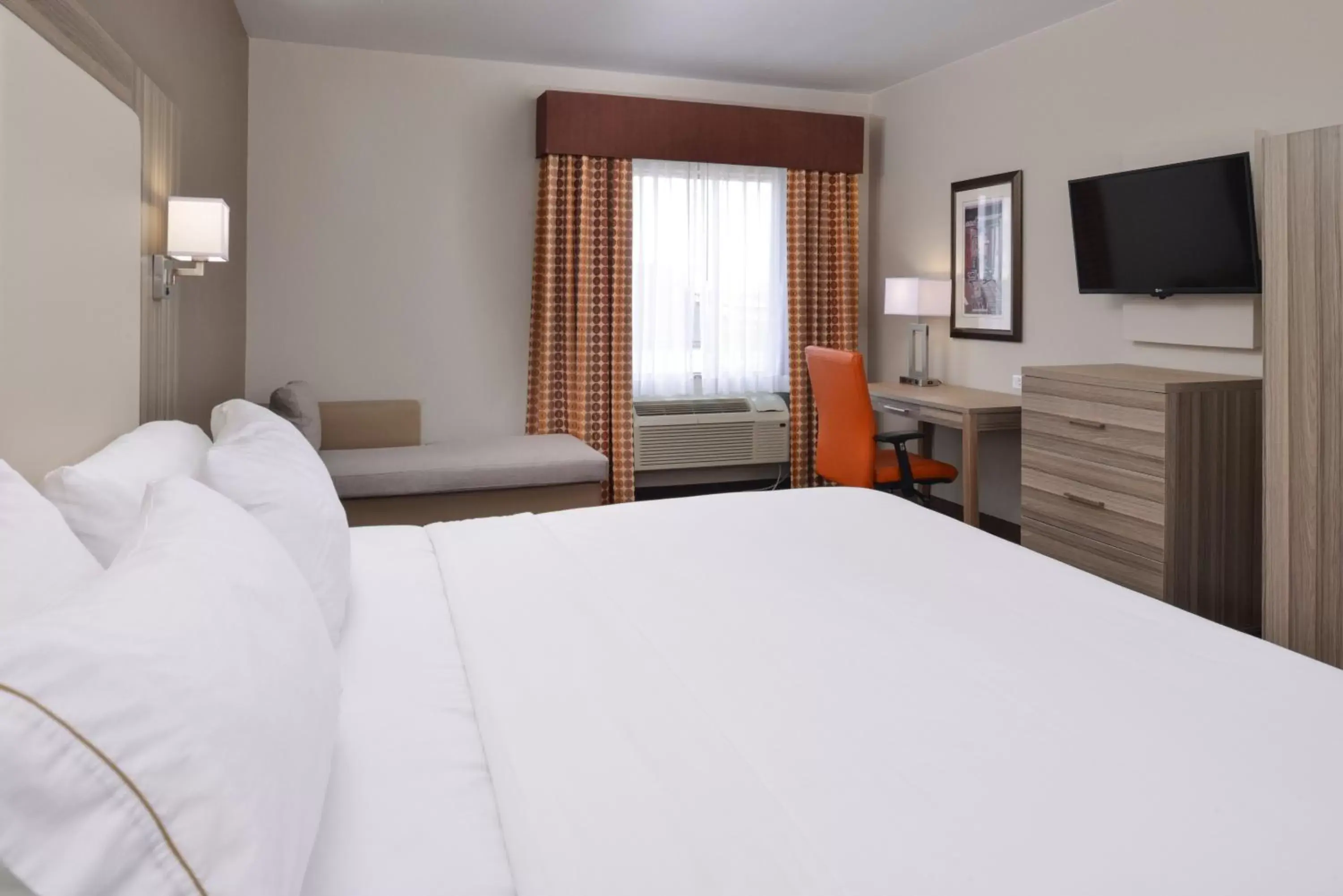 King Room - Hearing Accessible - Roll-in Shower in Holiday Inn Express & Suites Williams, an IHG Hotel King Room - Hearing Accessible - Roll-in Shower in Holiday Inn Express & Suites Williams, an IHG Hotel