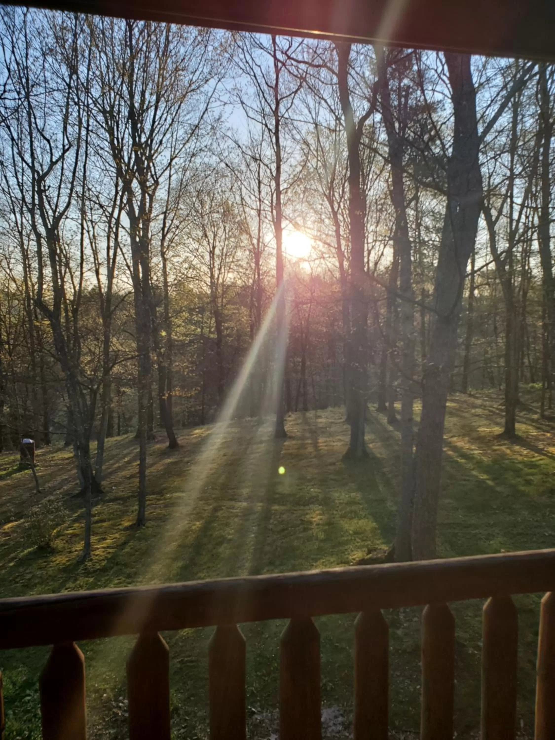 Sunrise in Snyder's Knob