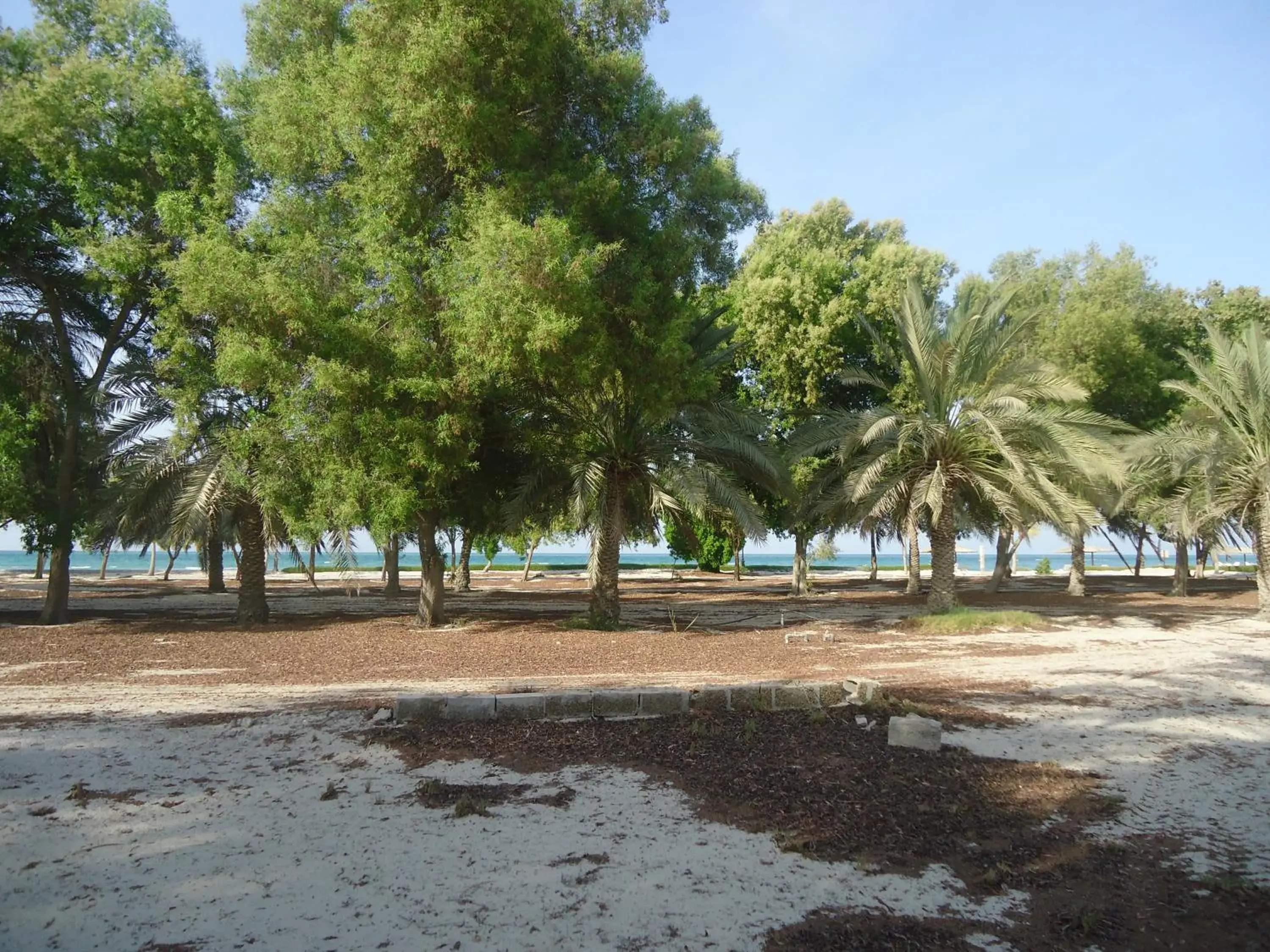 Beach in Dhafra Beach Hotel