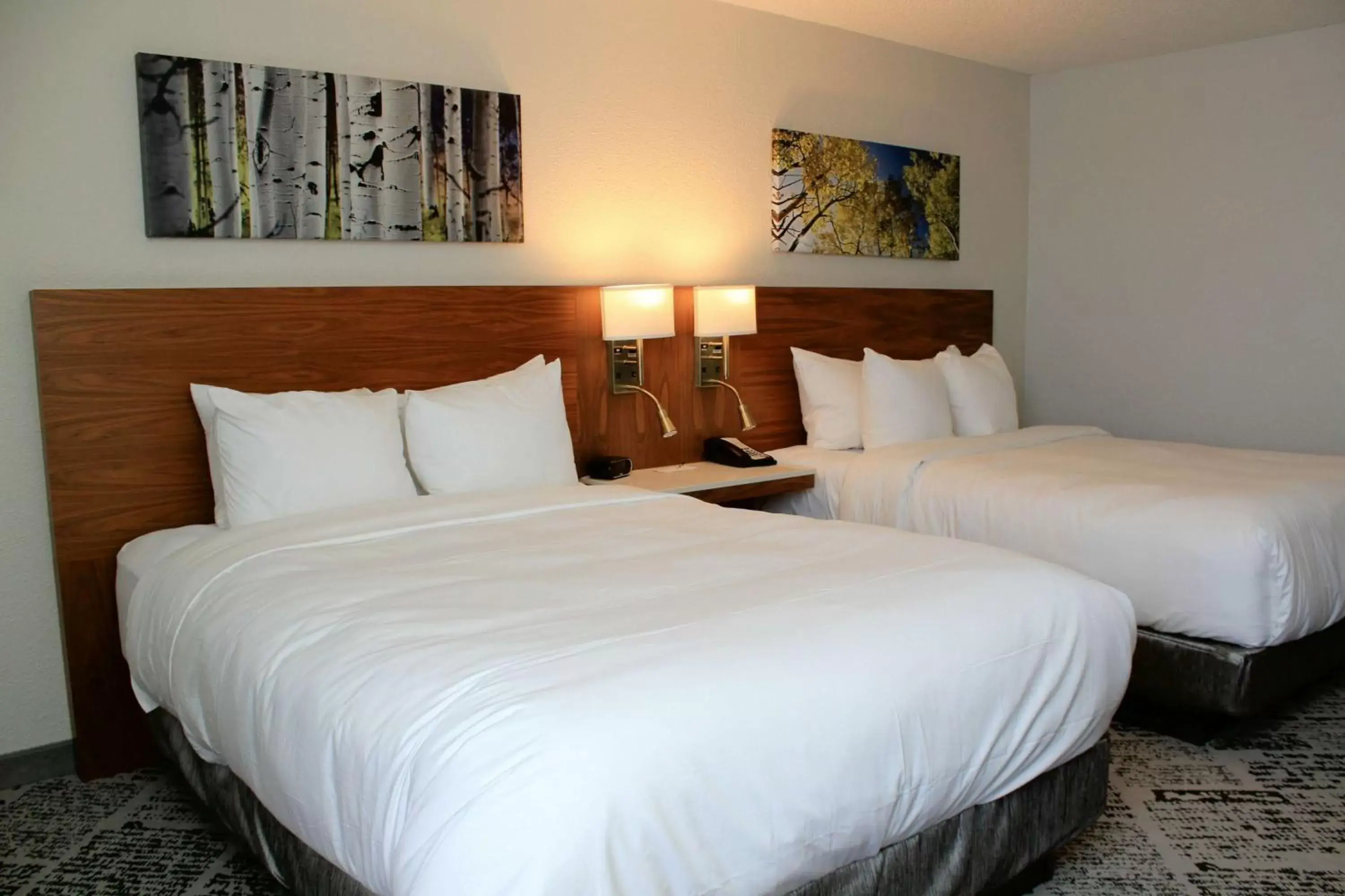 Photo of the whole room, Bed in Radisson Hotel Denver Central