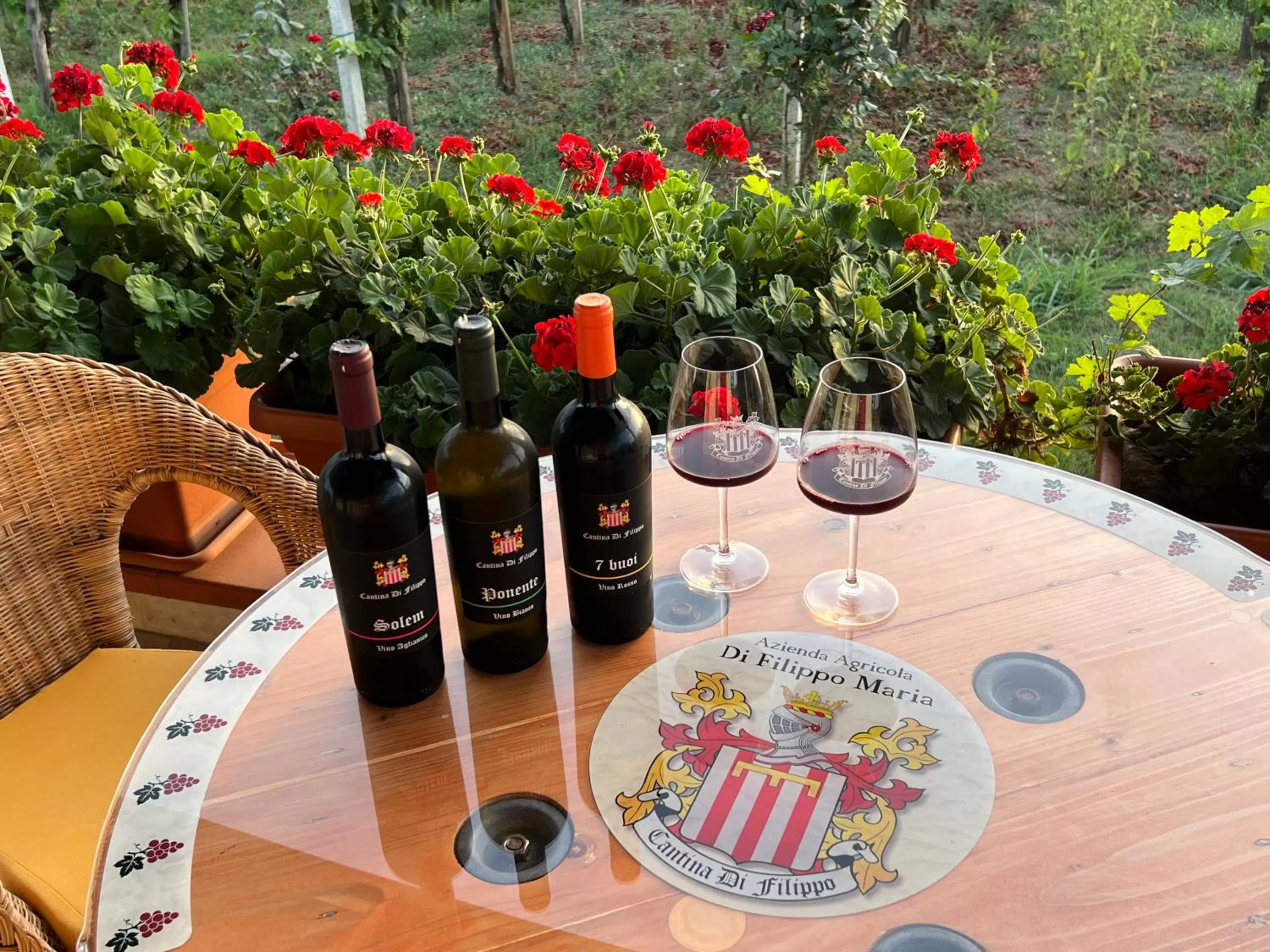 B & B Vigna Di Filippo - Paestum