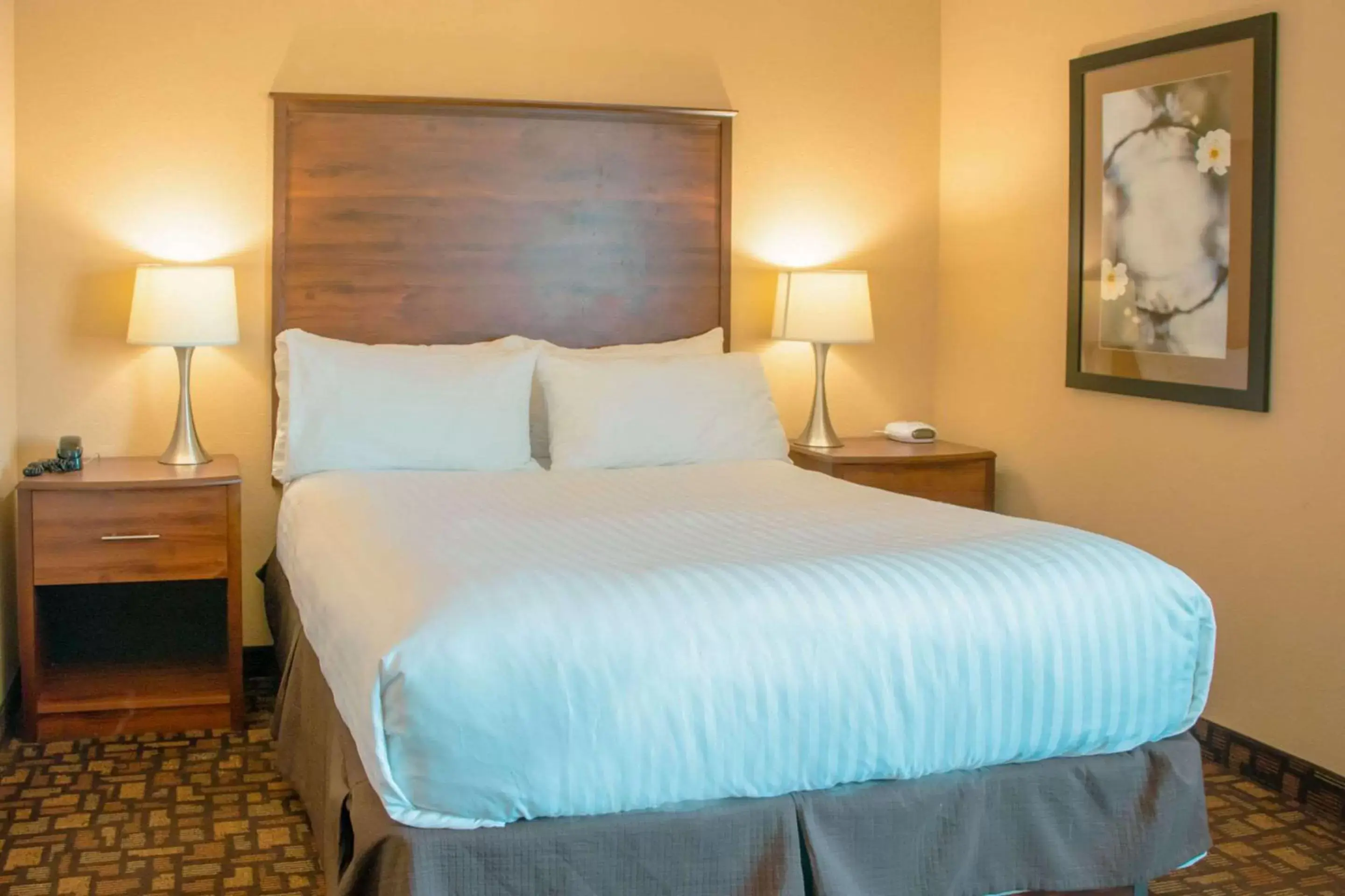 Bedroom, Bed in Expressway Suites of Grand Forks