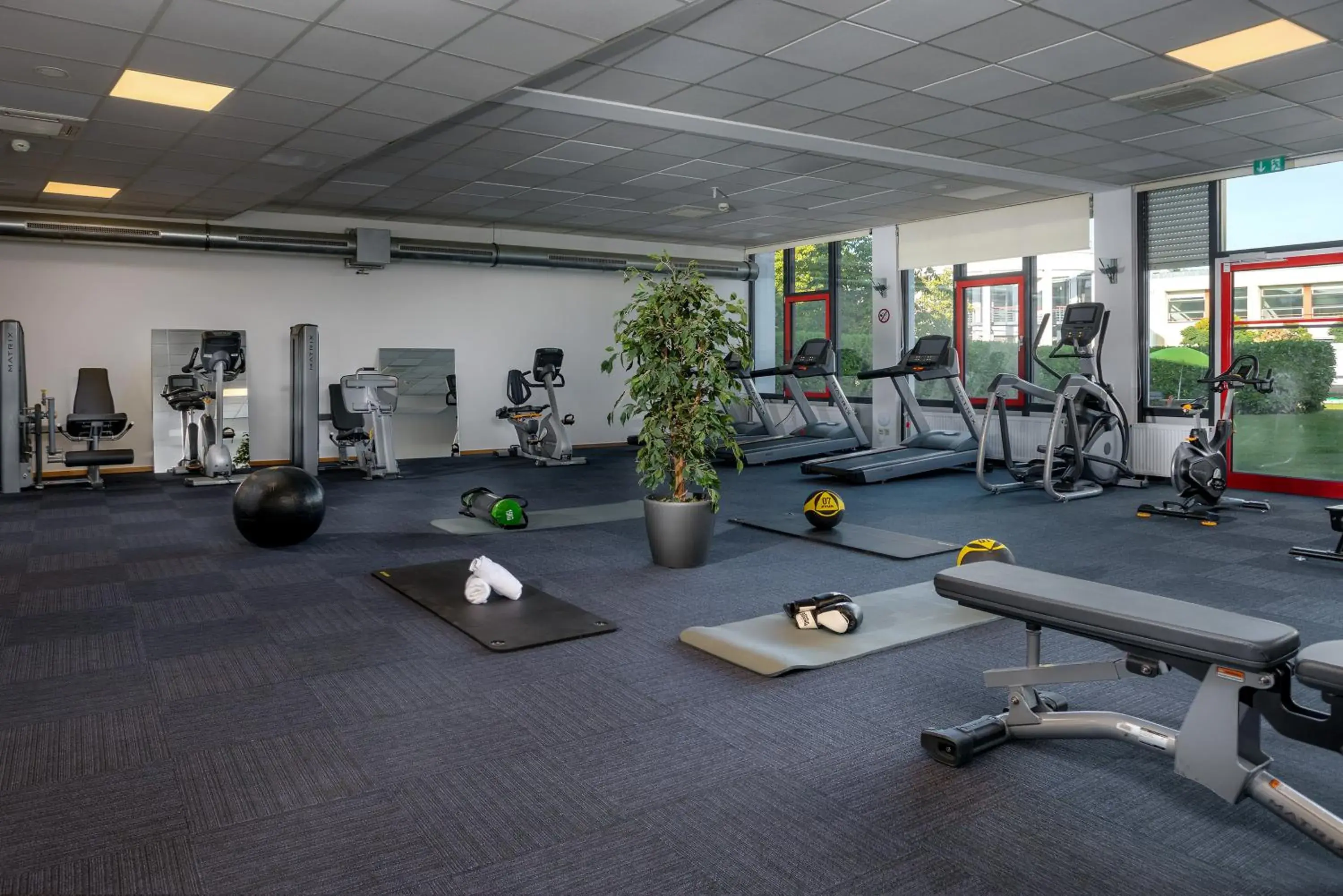 Fitness centre/facilities, Fitness Center/Facilities in The Hotel Darmstadt