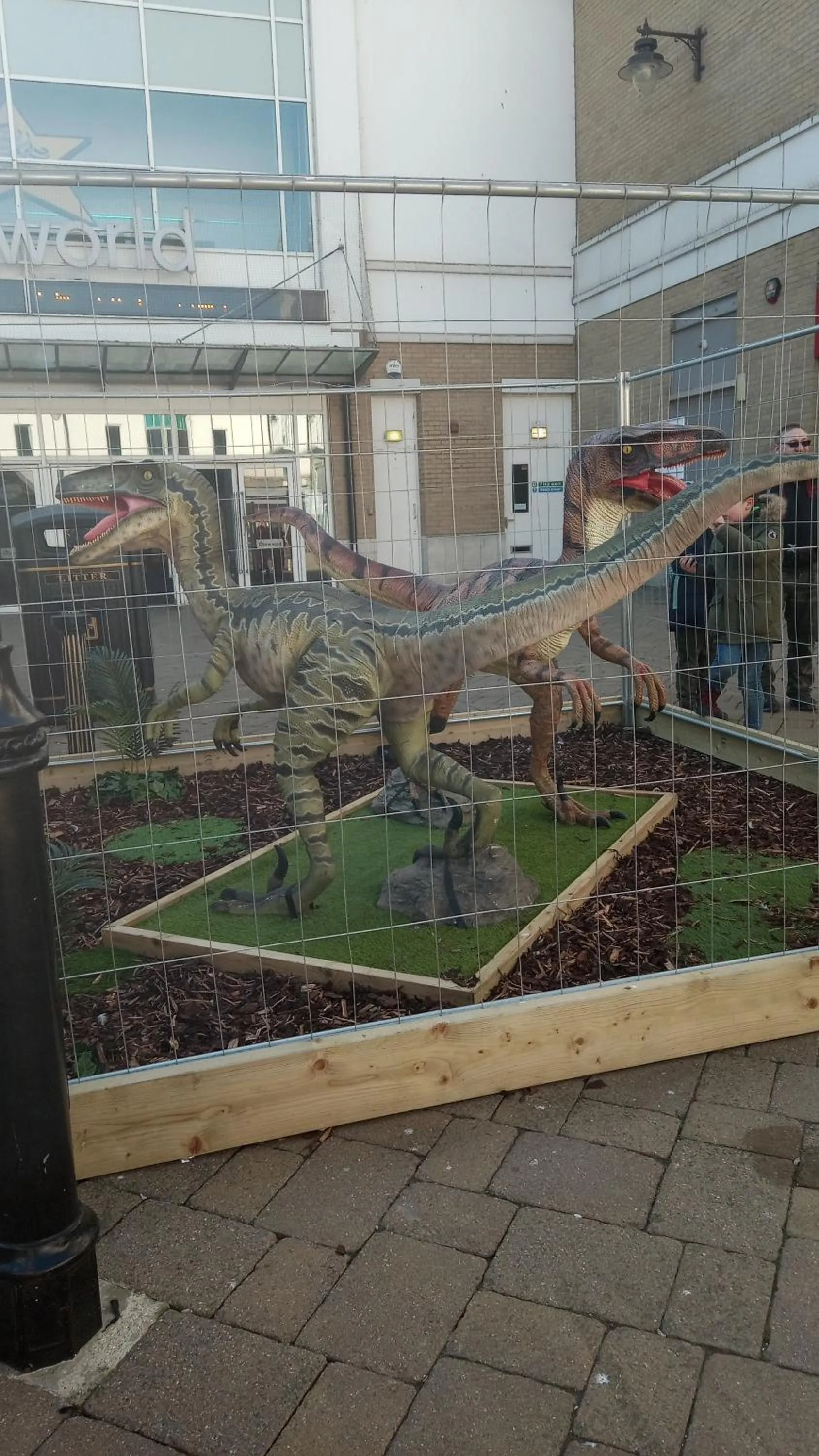 Garden in The Wilton Weymouth