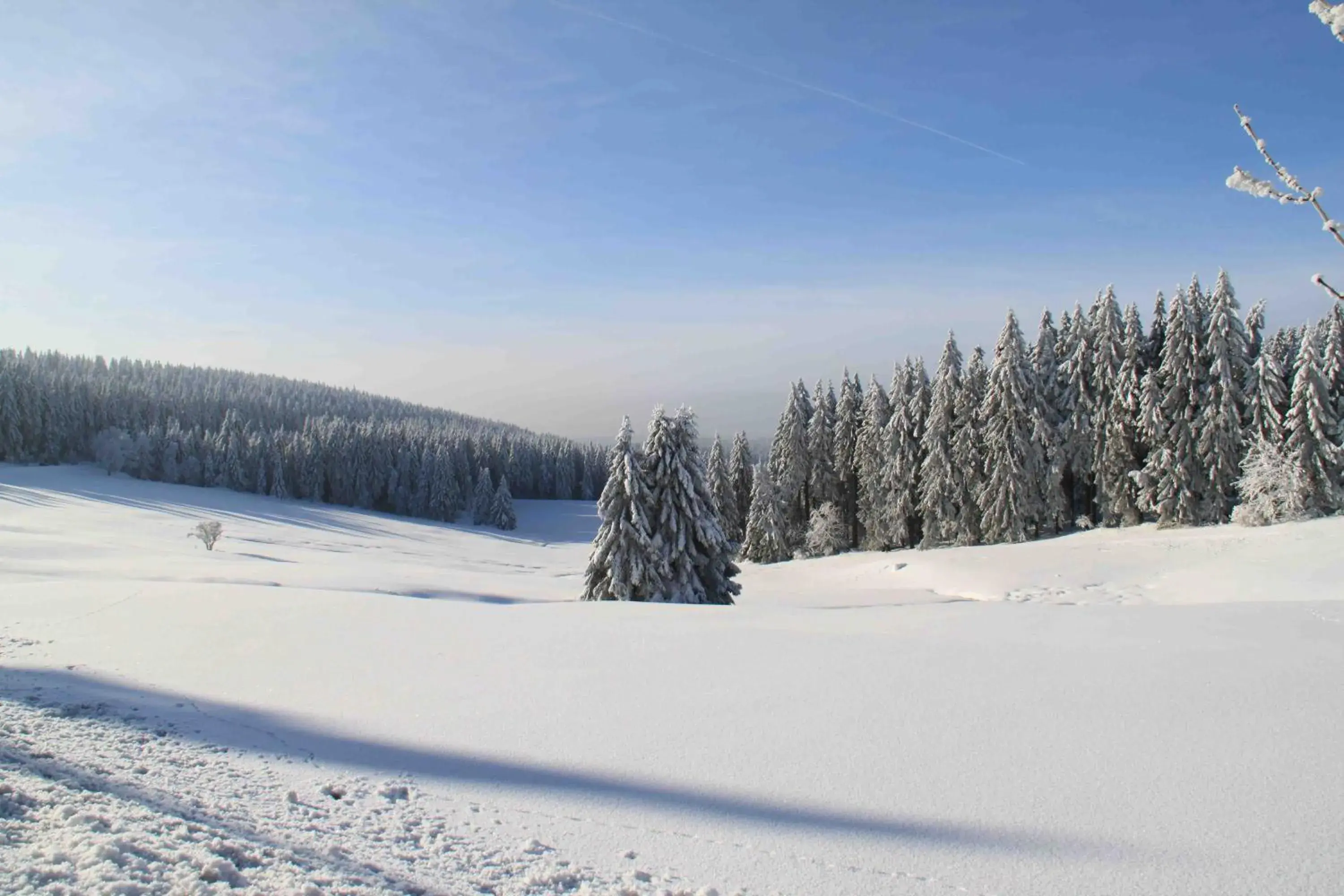 Winter in Hotel Njord