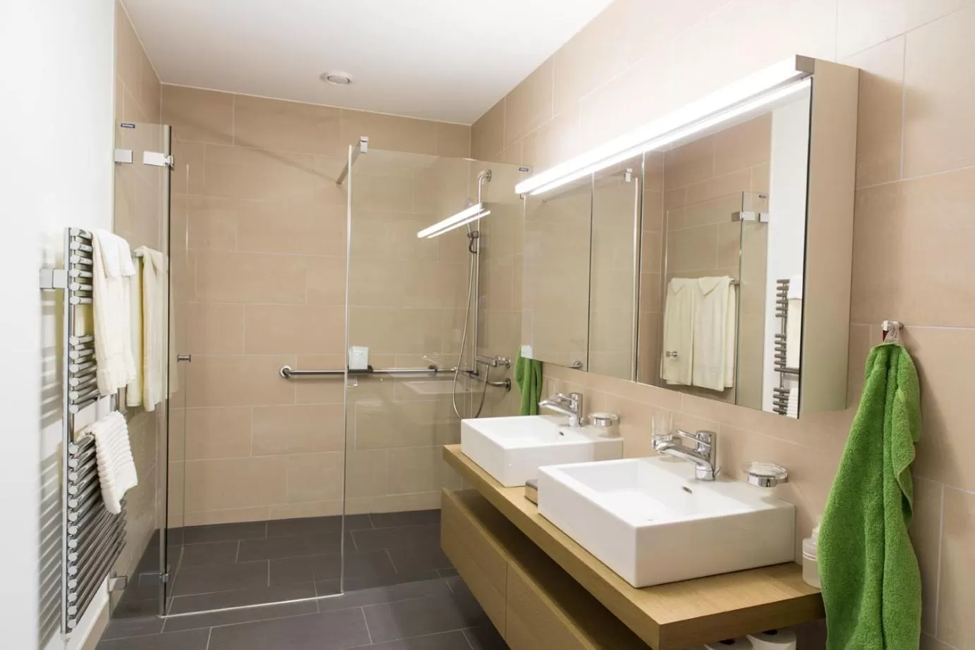 Shower in Tertianum Parkresidenz Meilen