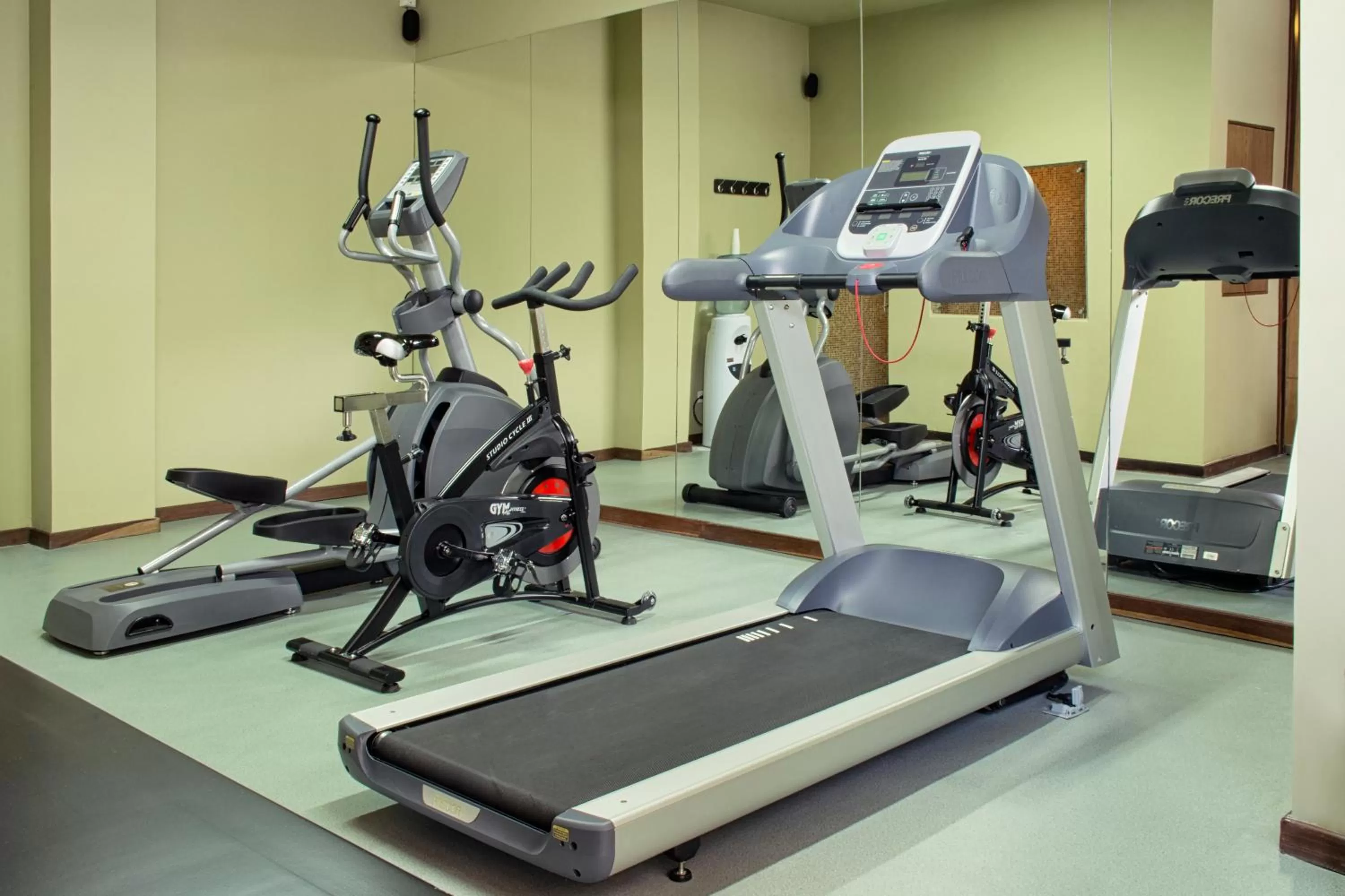 Fitness centre/facilities in Movich Casa del Alferez