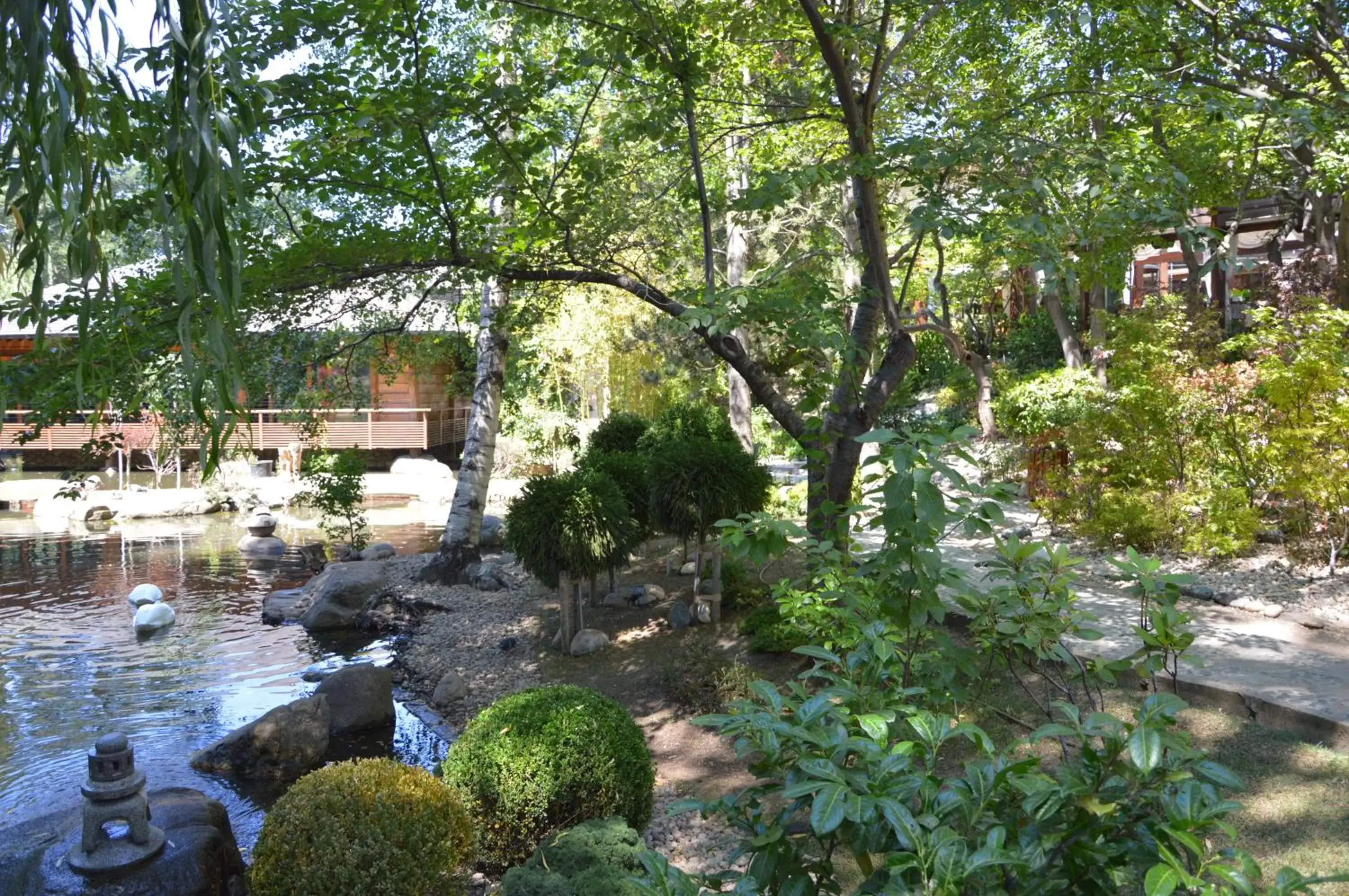 Garden in Hotel Marinela Sofia