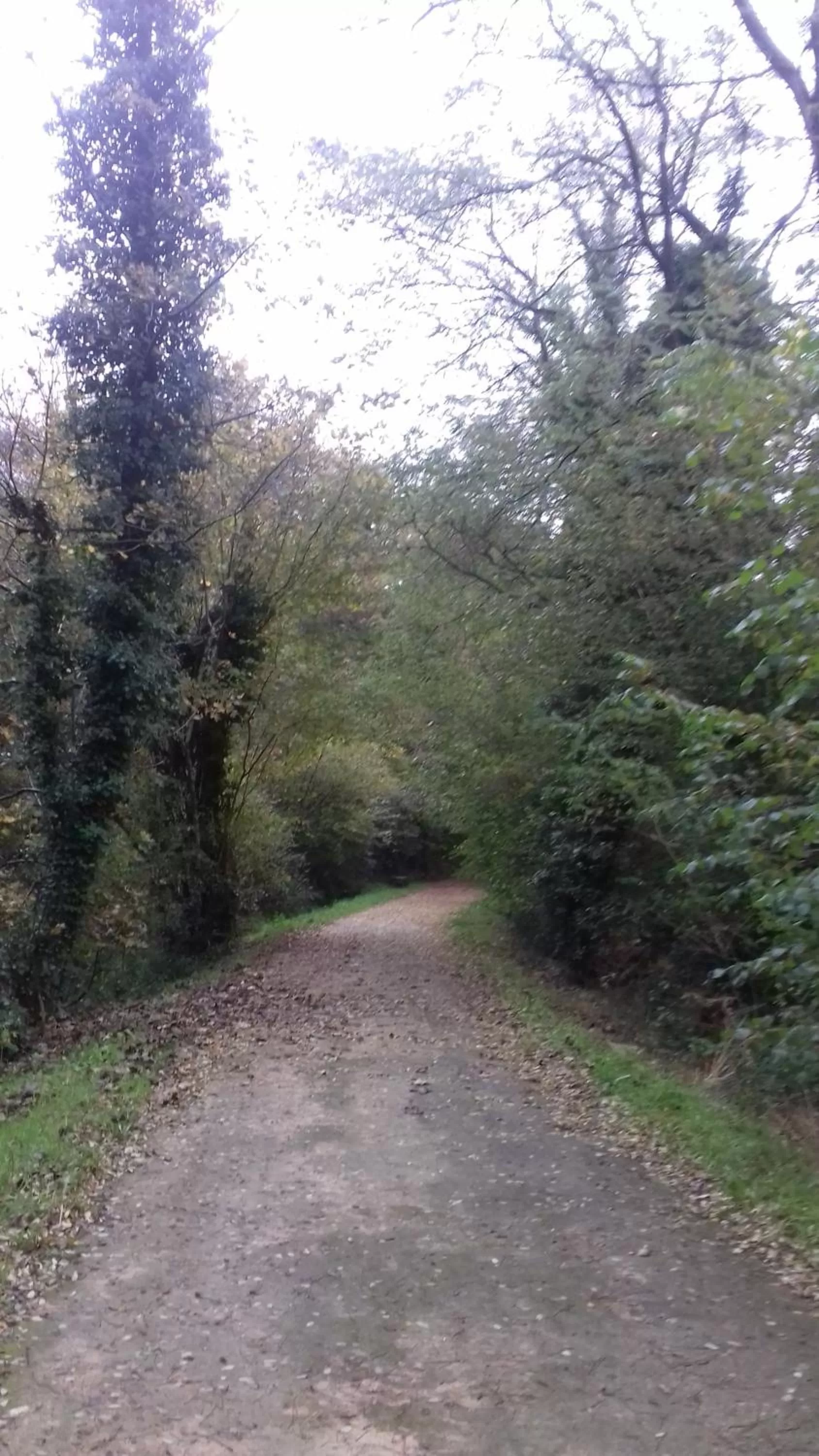 Nearby landmark in LES DEUX RIVIERES - Chambres & Table d'Hôtes -