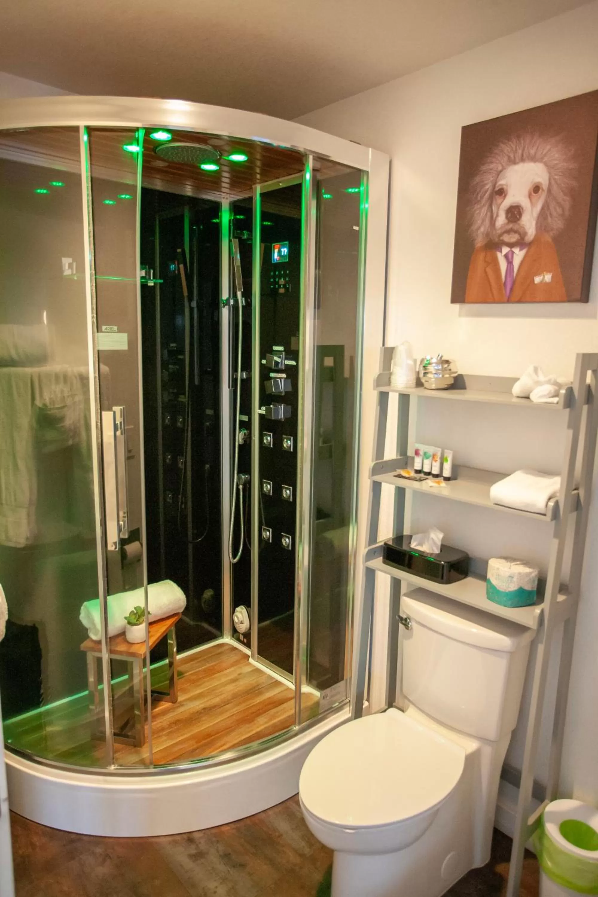 Shower in EO Bungalows, Black Hills