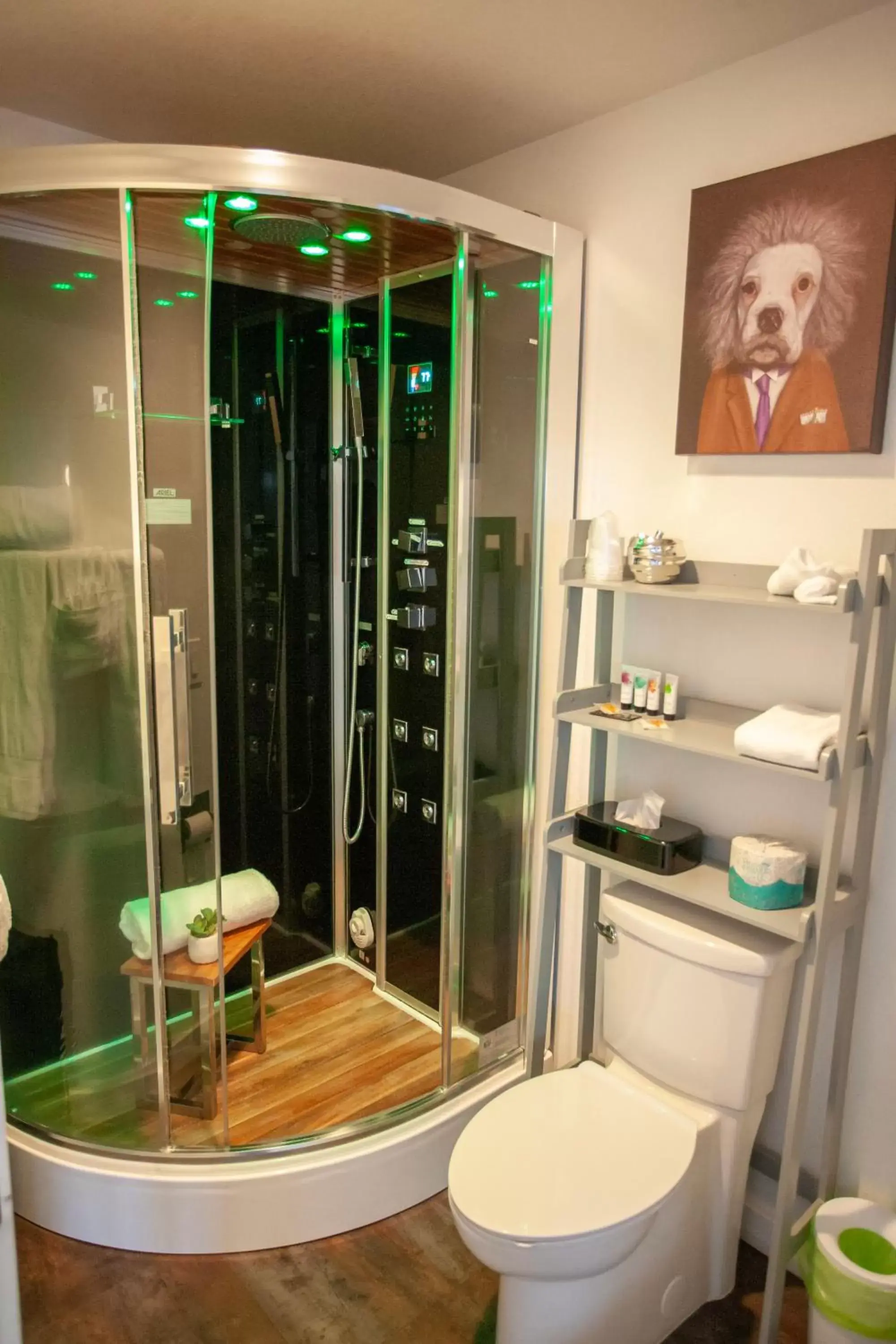 Shower, Bathroom in EO Bungalows, Black Hills