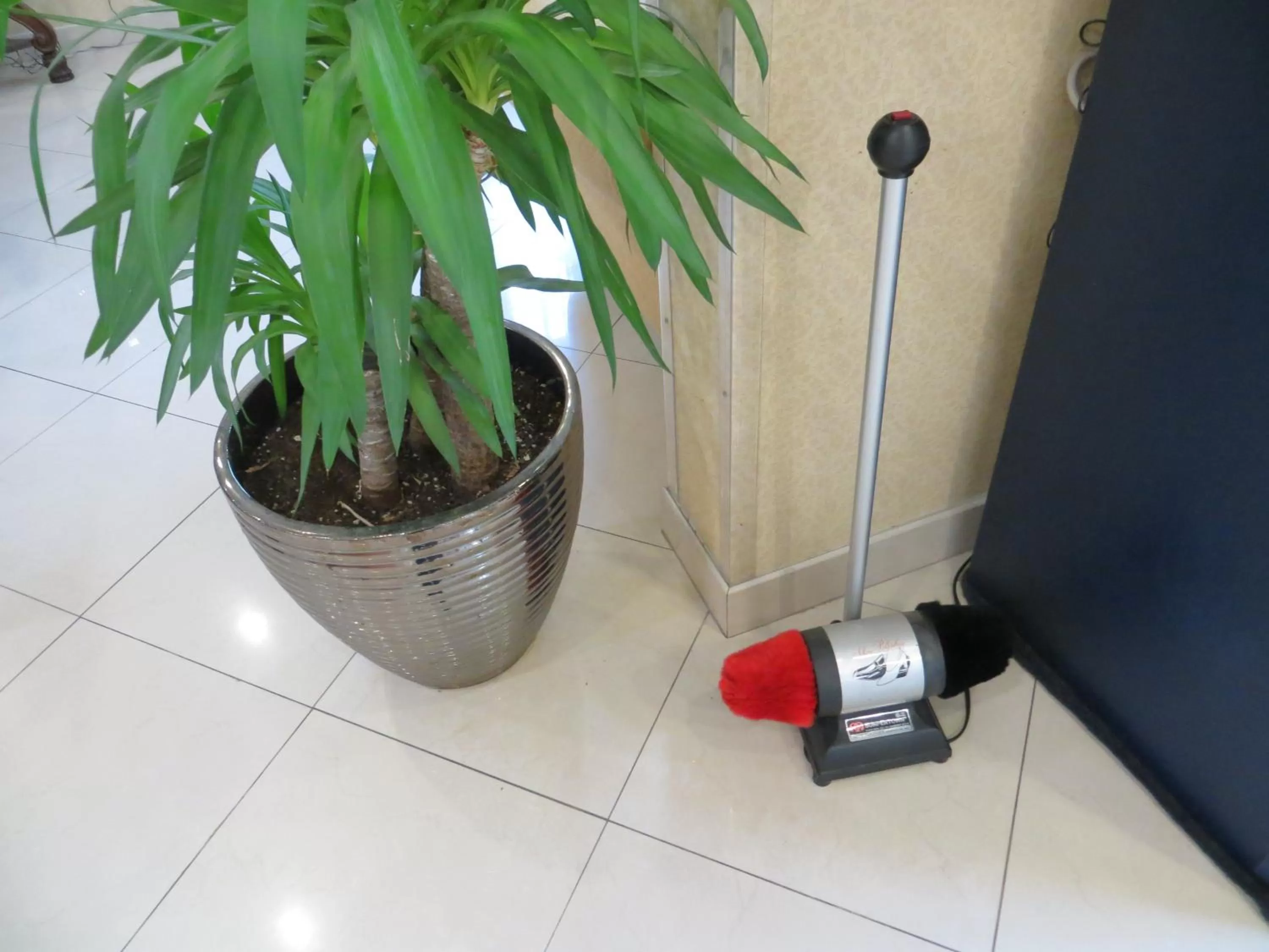 Area and facilities in Microtel Inn & Suites by Wyndham Kingsland Naval Base I-95