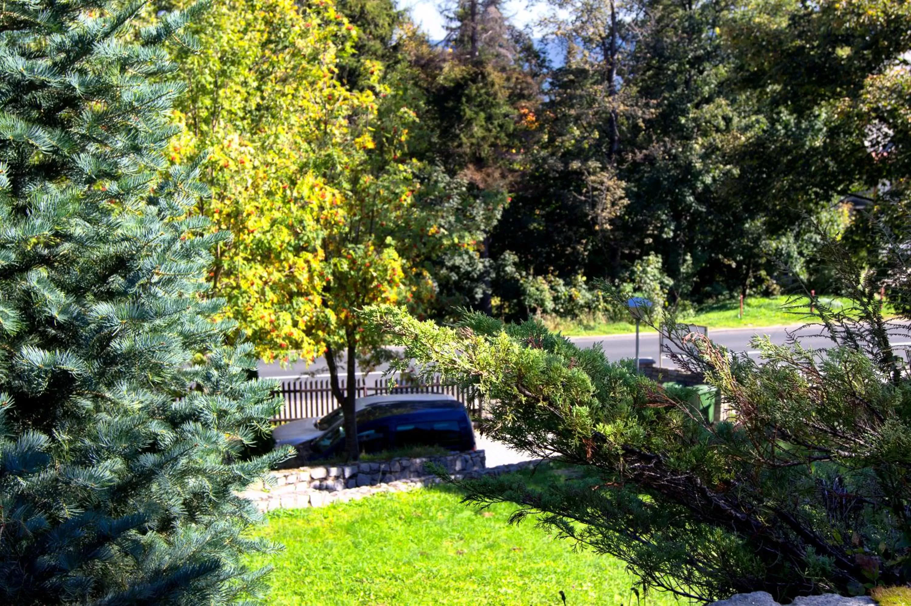 Day in Pod Jeleńcem