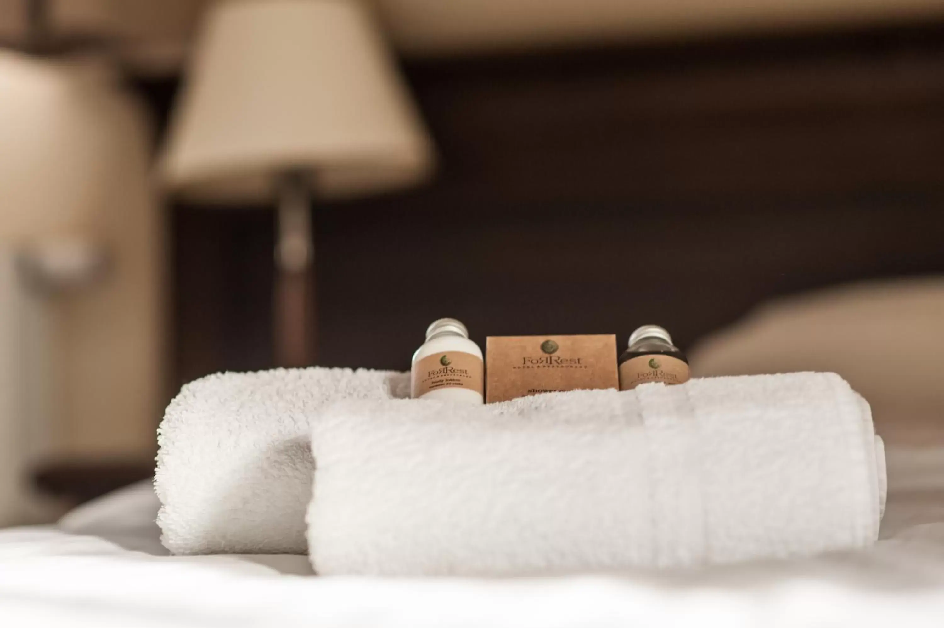 Comfort Room - single occupancy in ForRest Hotel & Restaurant Comfort Room - single occupancy in ForRest Hotel & Restaurant