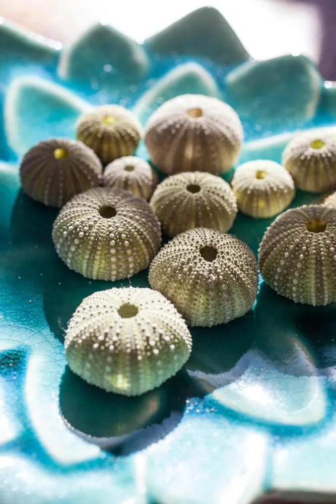 Decorative detail in Palm Beach Guesthouse