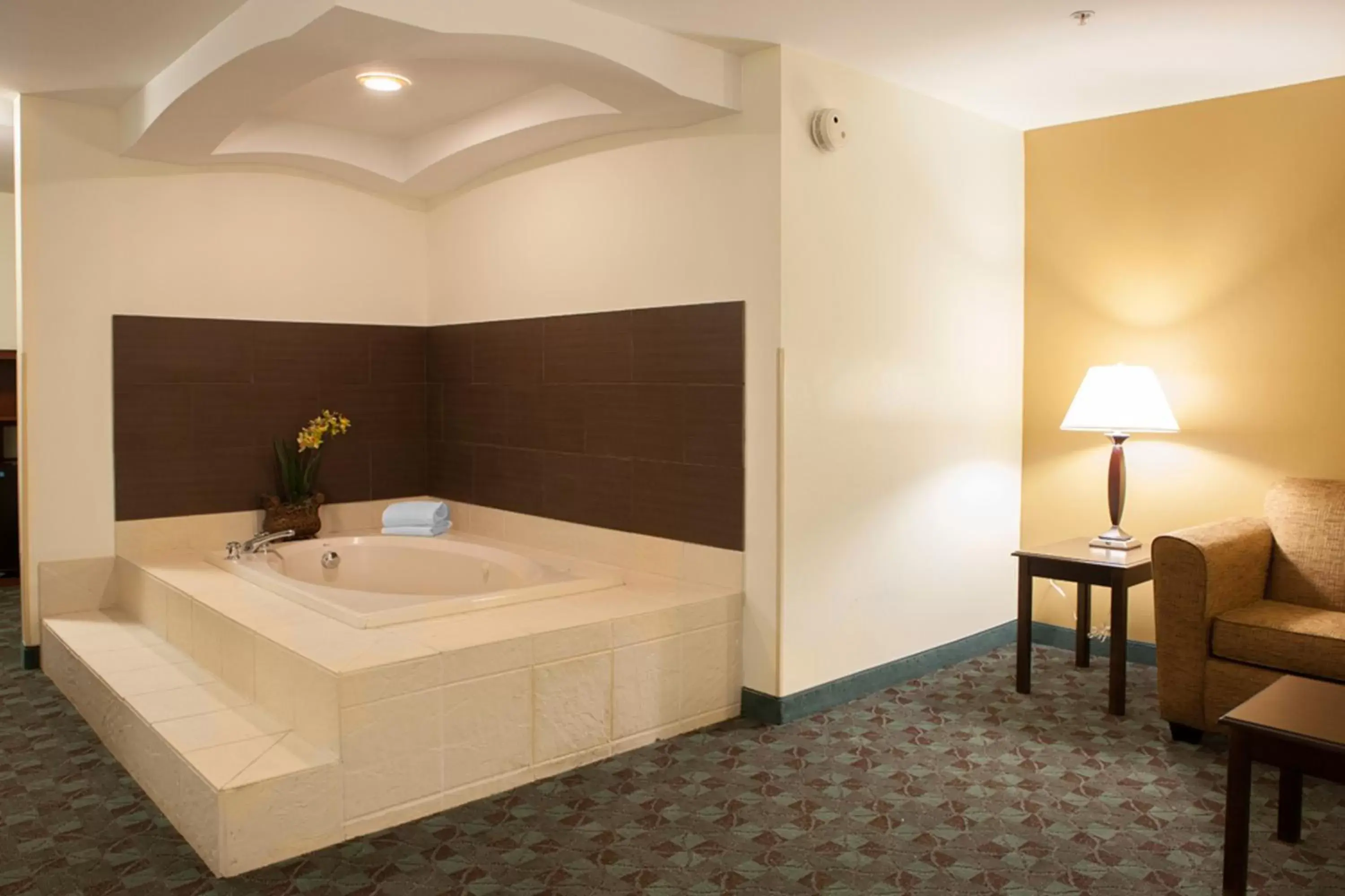 King Room with Jetted Tub in Holiday Inn Express Hotel & Suites Canton by IHG King Room with Jetted Tub in Holiday Inn Express Hotel & Suites Canton by IHG