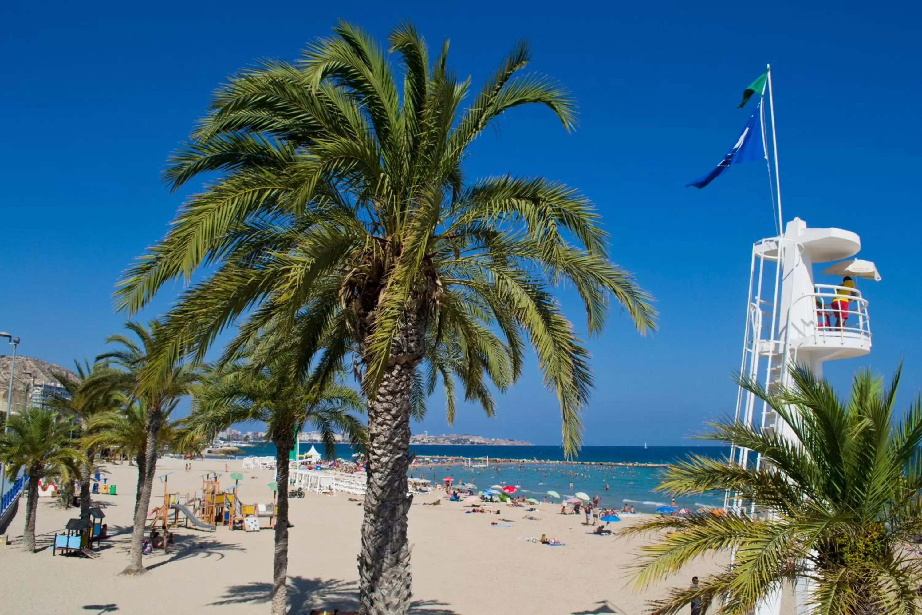 Area and facilities, Beach in Hotel Maya Alicante