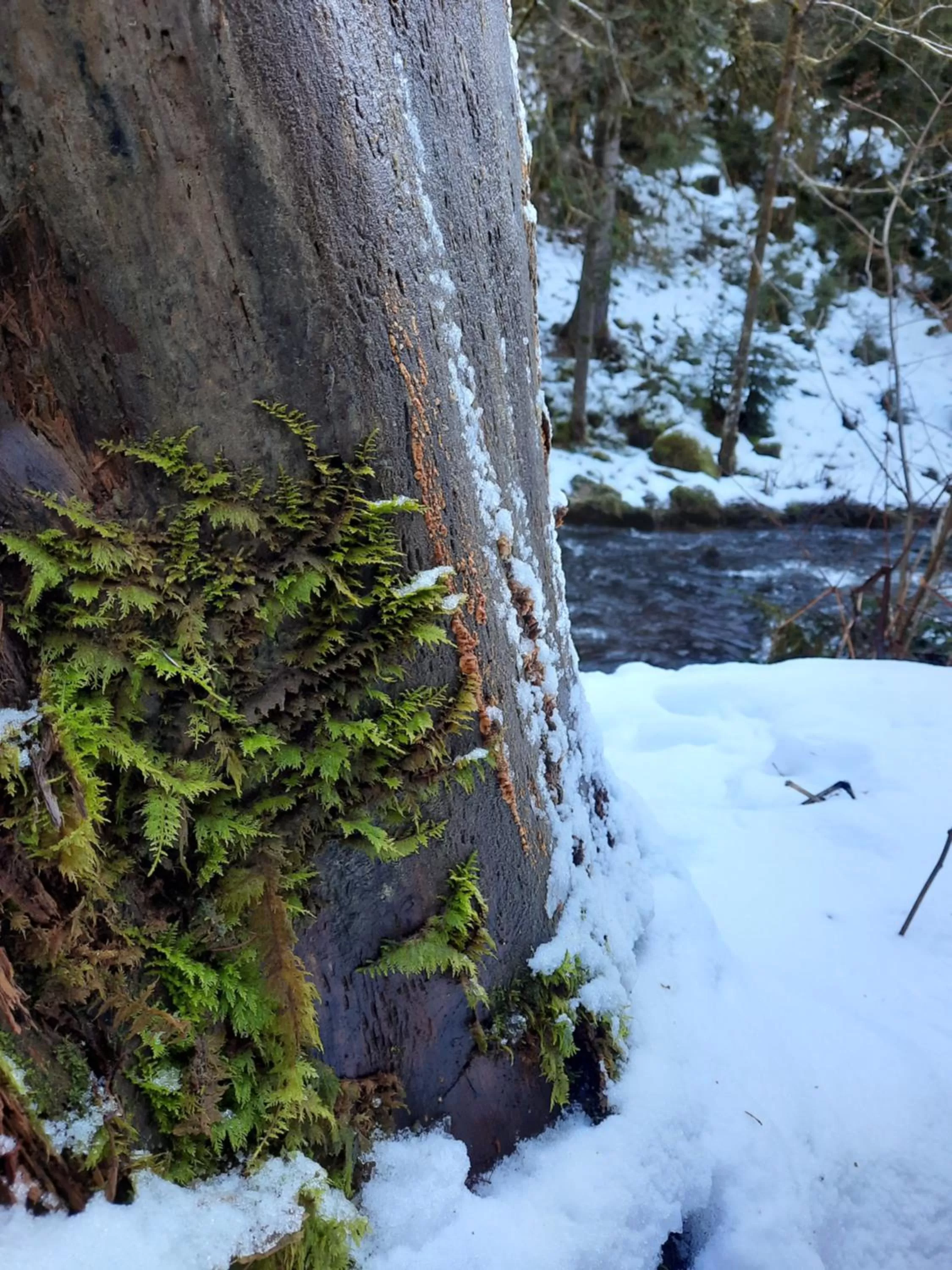 Other in Au Cœur des Lacs - Chambres d'hôtes