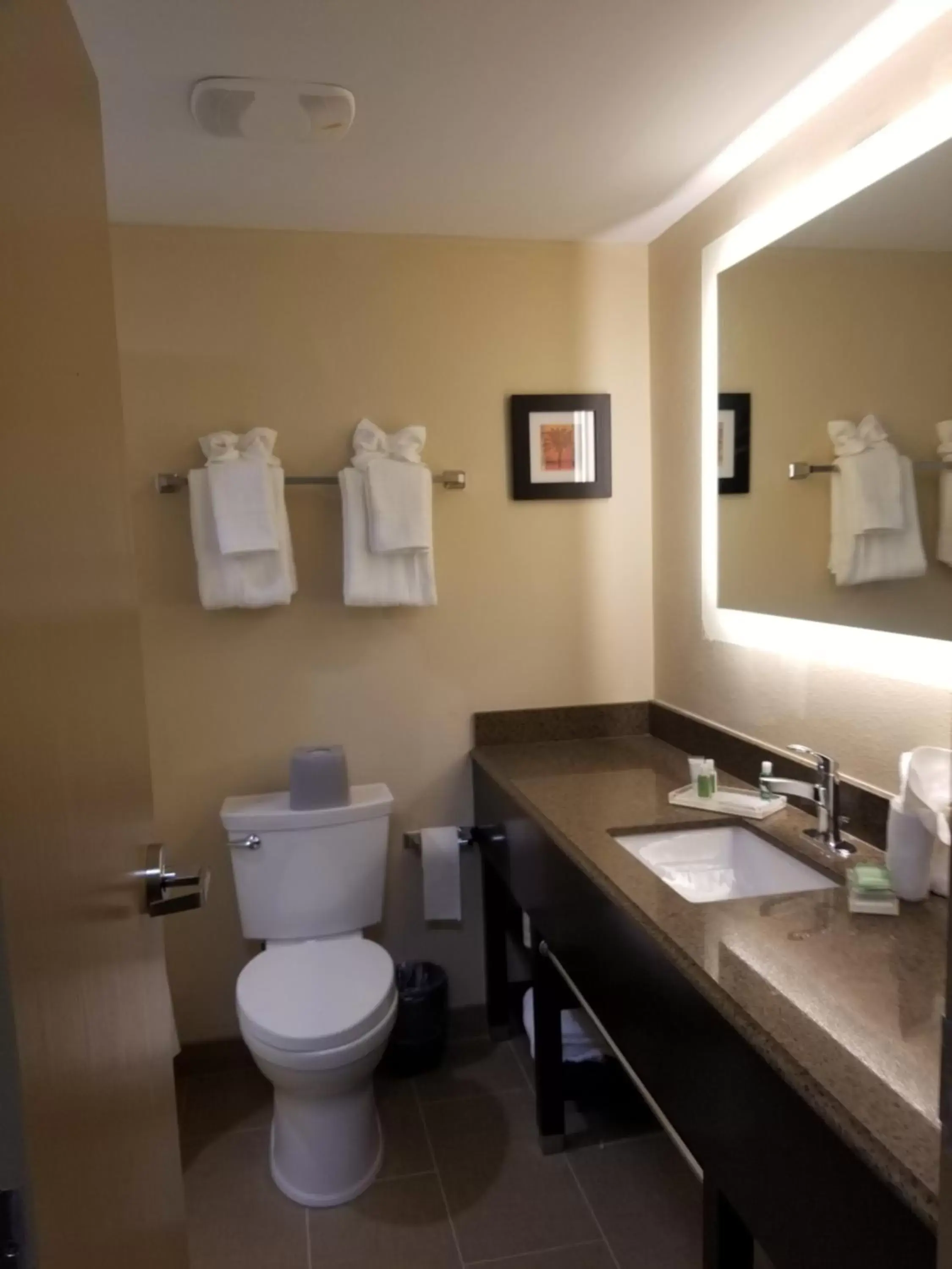 Toilet, Bathroom in Holiday Inn Poughkeepsie, an IHG Hotel