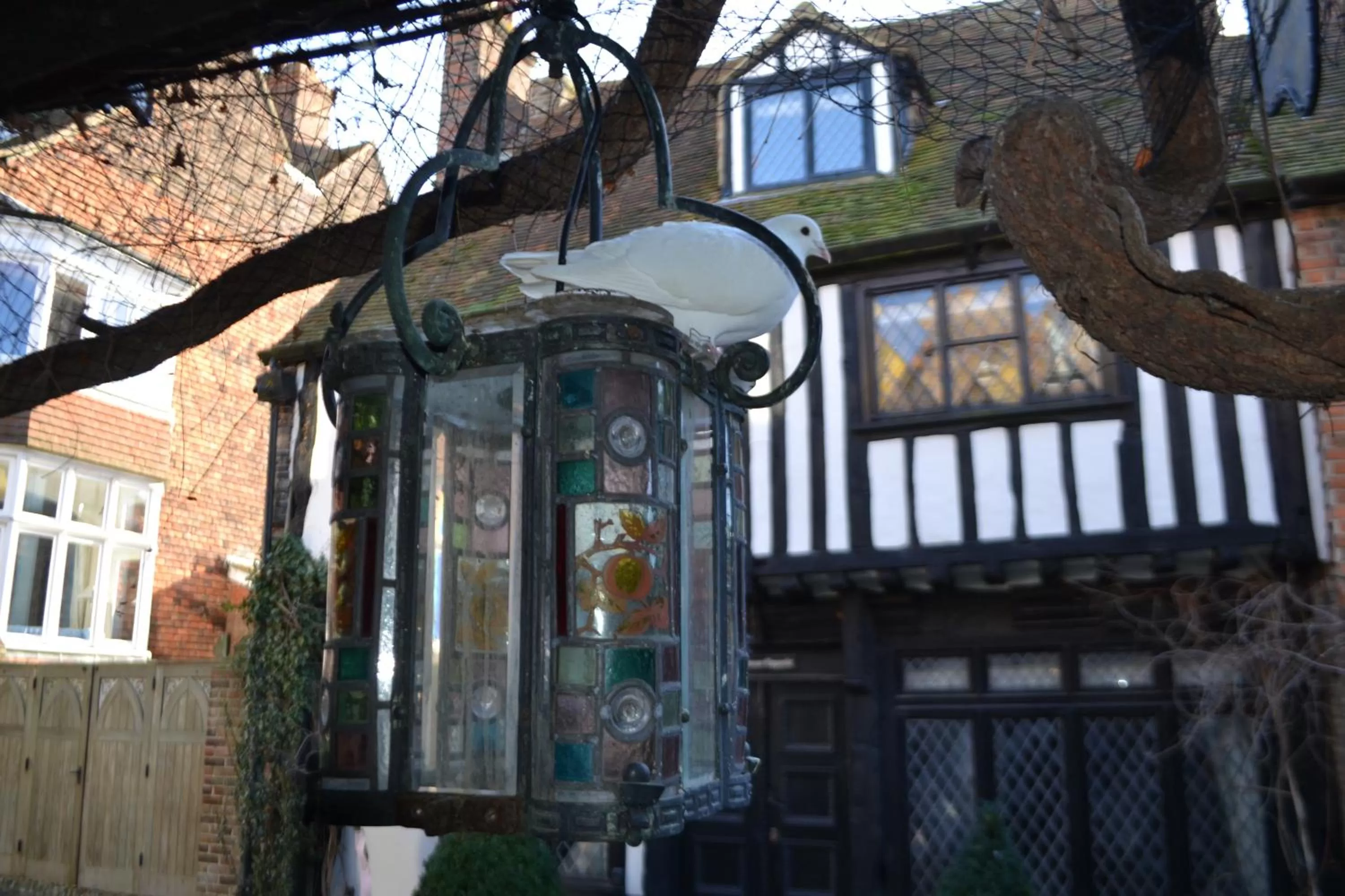 Property building in Mermaid Inn