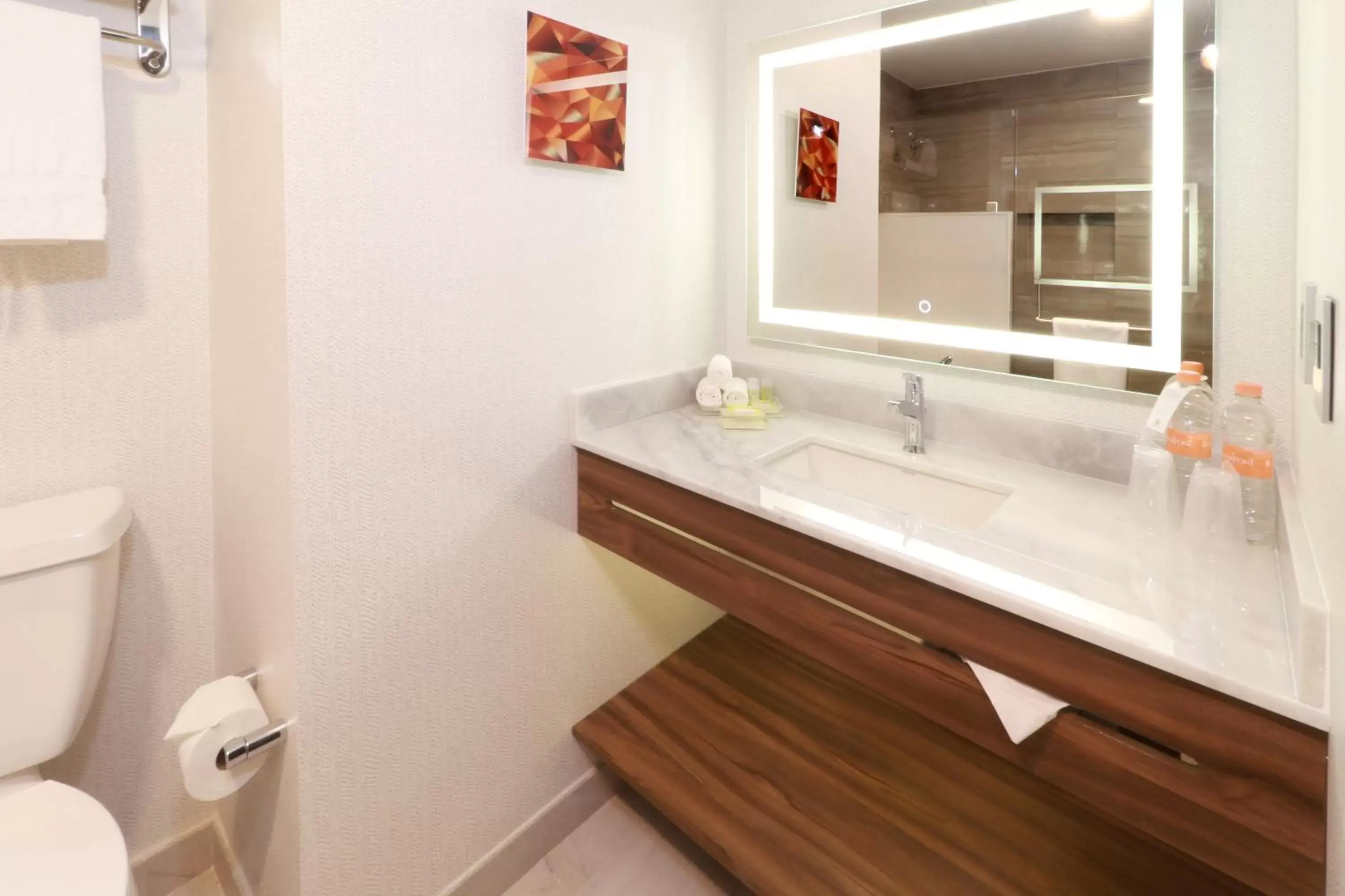 Standard Double Room with Two Double Beds in Holiday Inn & Suites Monterrey Apodaca Zona Airport, an IHG hotel Standard Double Room with Two Double Beds in Holiday Inn & Suites Monterrey Apodaca Zona Airport, an IHG hotel